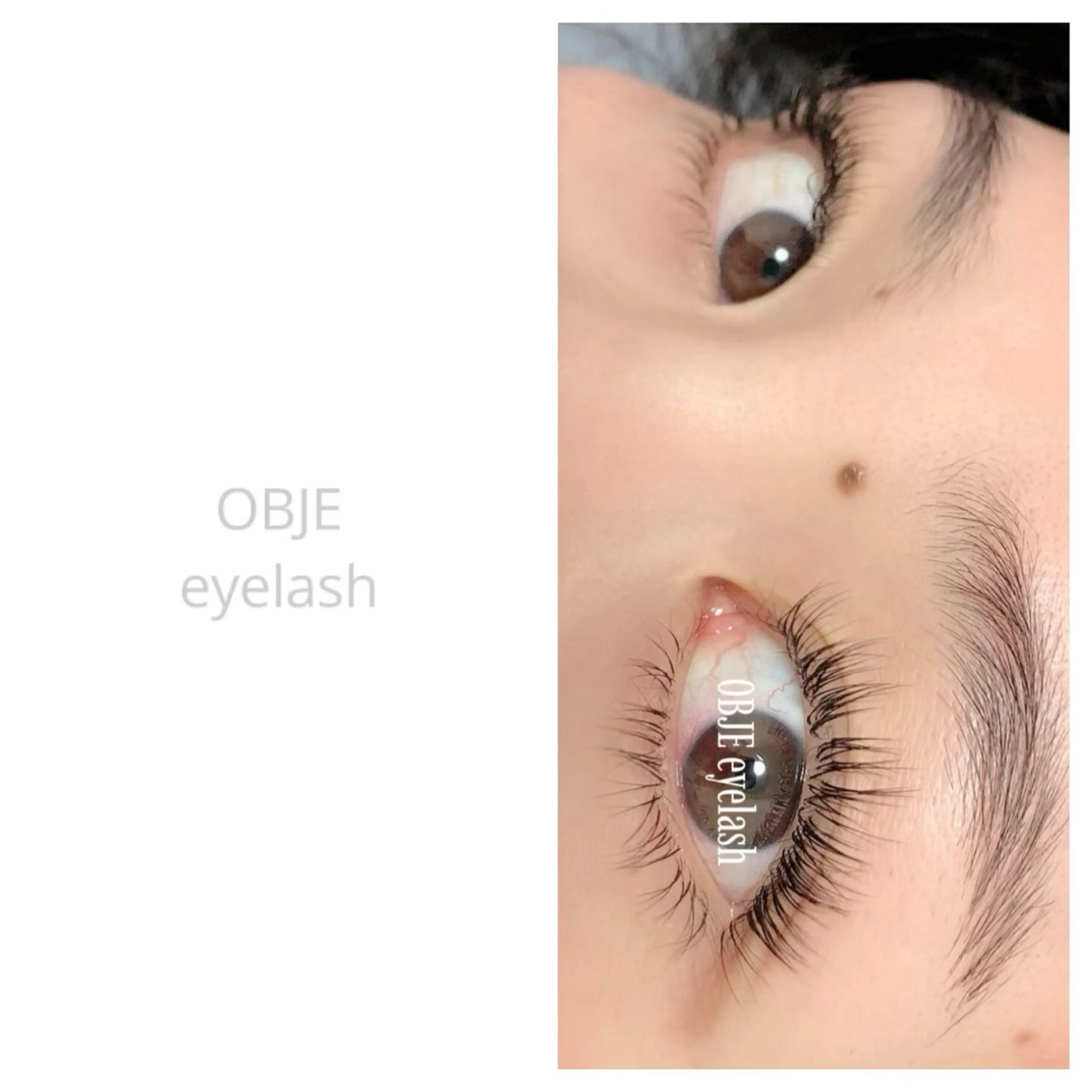 マツエク・マツパ アップワードラッシュ OBJE eyelashのマツエク・マツパデザイン