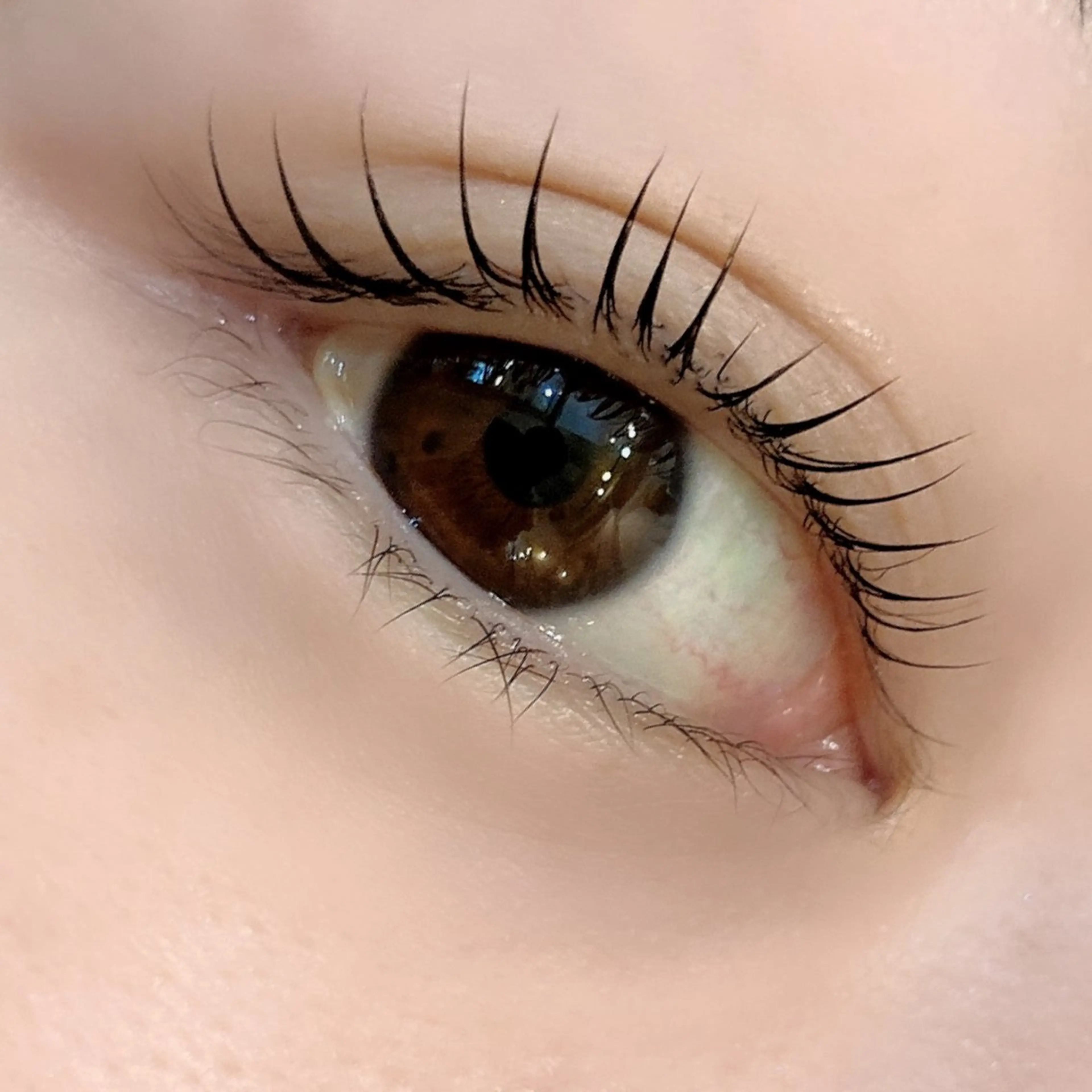 マツエク・マツパ マツパ AI🌙登戸/ 骨格分析/眉/まつ毛の眉毛・アイブロウイメージ