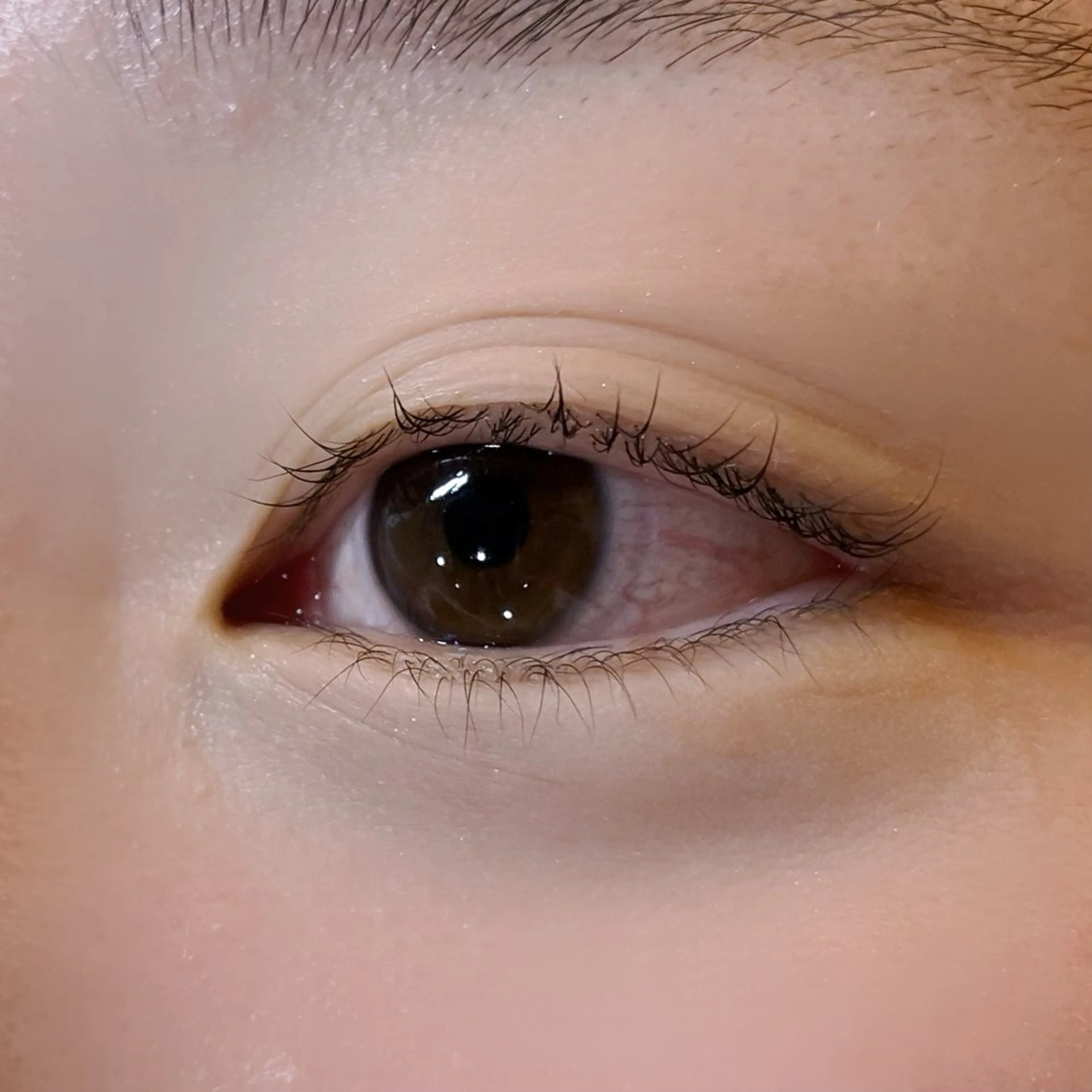 マツエク・マツパ マツパ 櫻井 怜華のマツエク・マツパデザイン