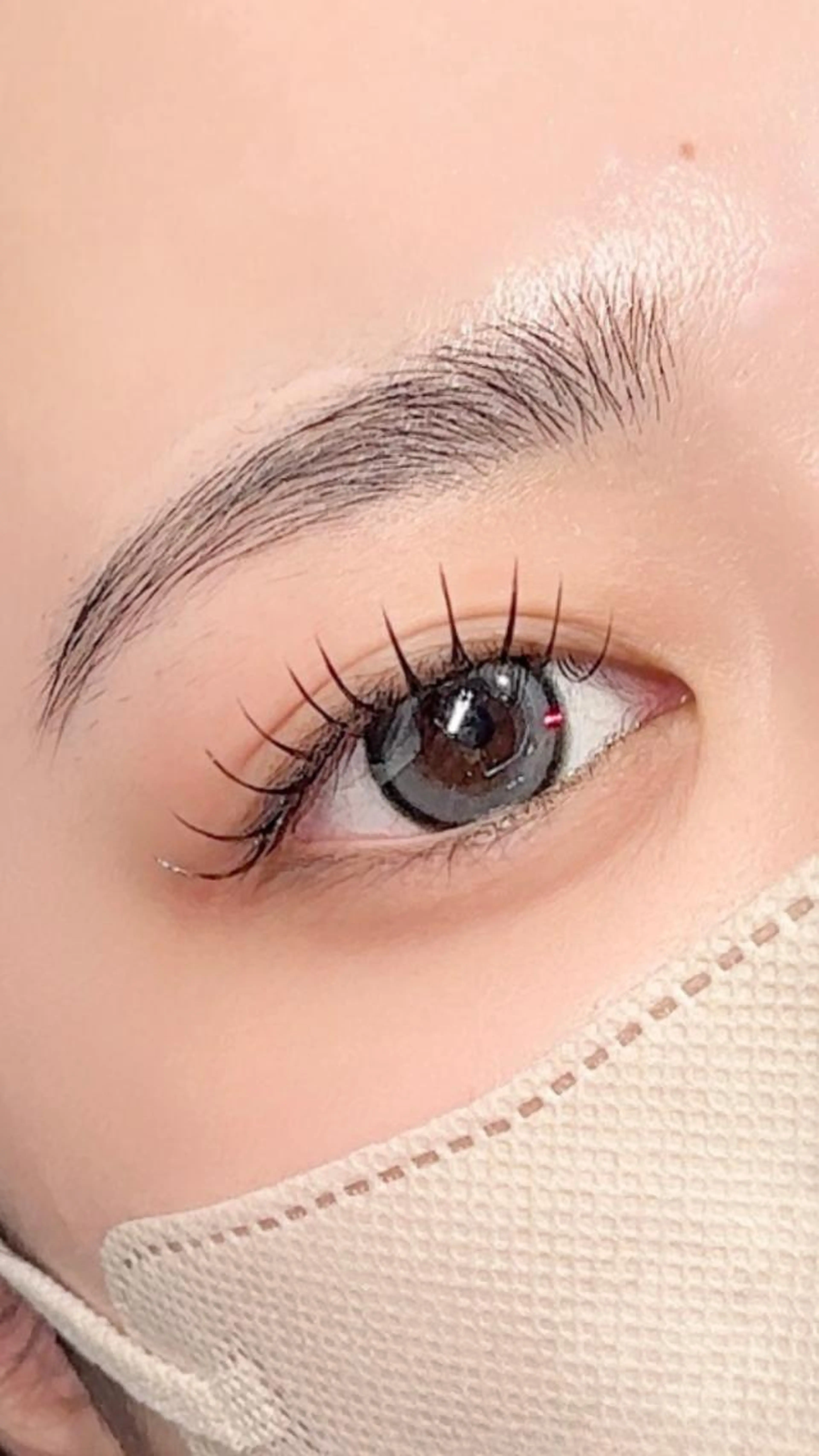 LEDエクステ100本　フラットラッシュ　￥8250の写真