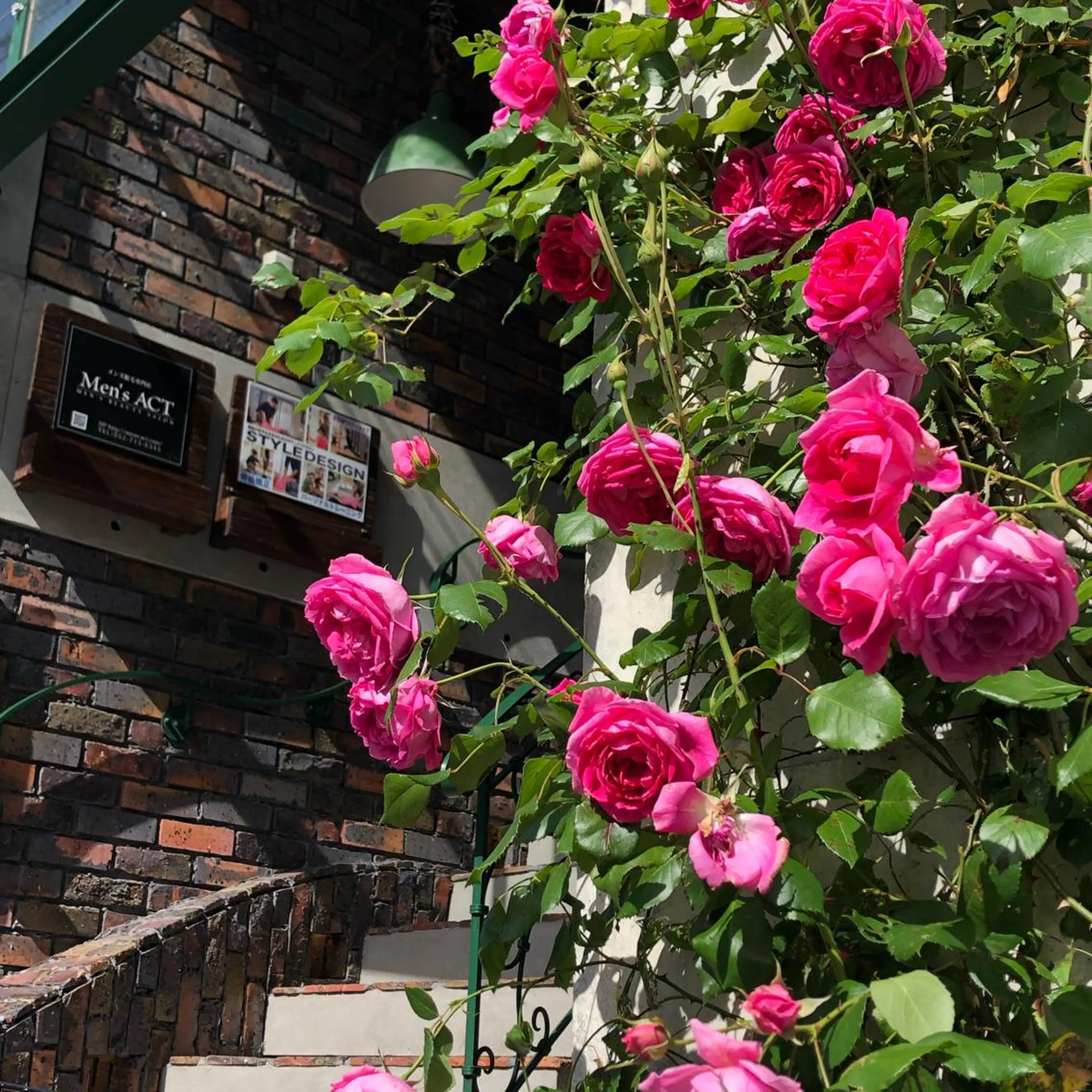 【日本シュガーリング協会認定】 MADRUGADA Sugar所属・名古屋シュガーリング 専門サロン NANAのエステ・リラクイメージ