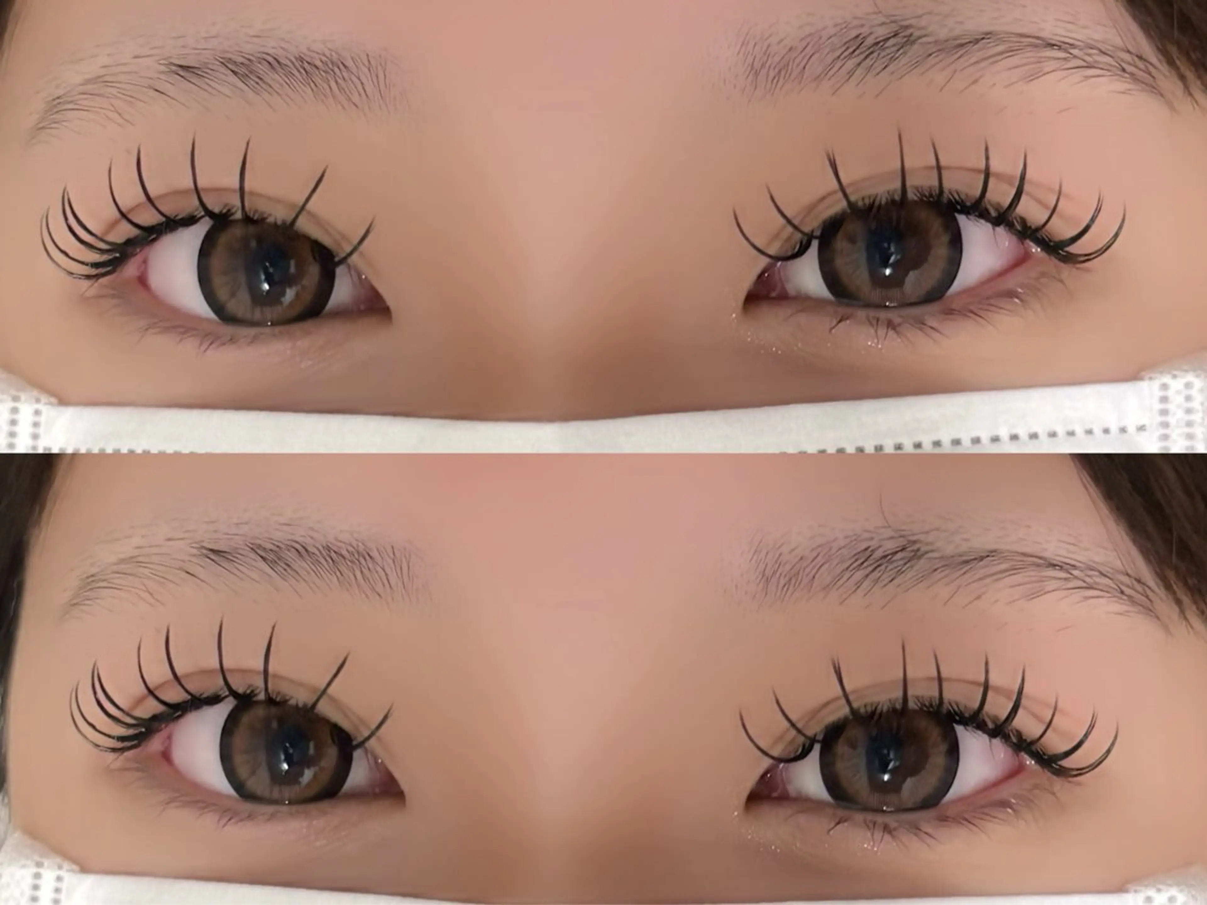 バインドロック80束🎀の写真