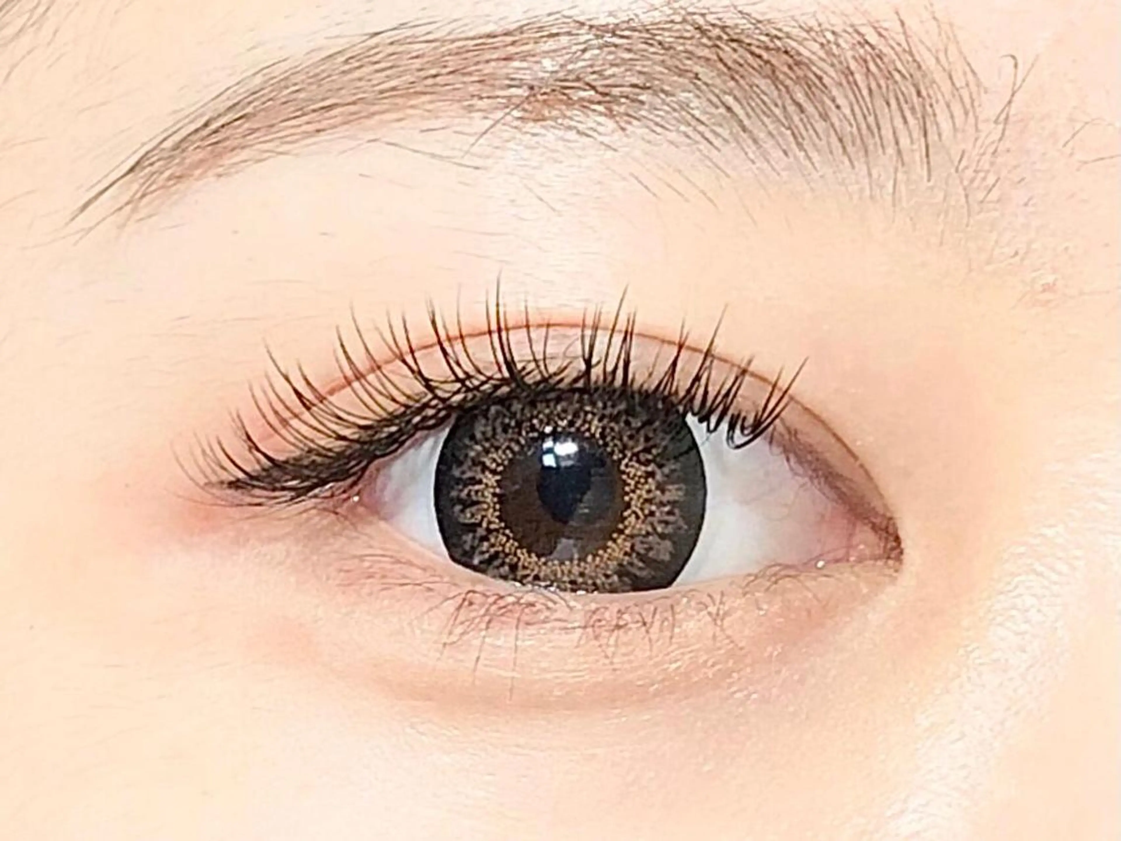 【モデル募集】オフ込み)LEDマツエク◎フラットラッシュ 100本の写真