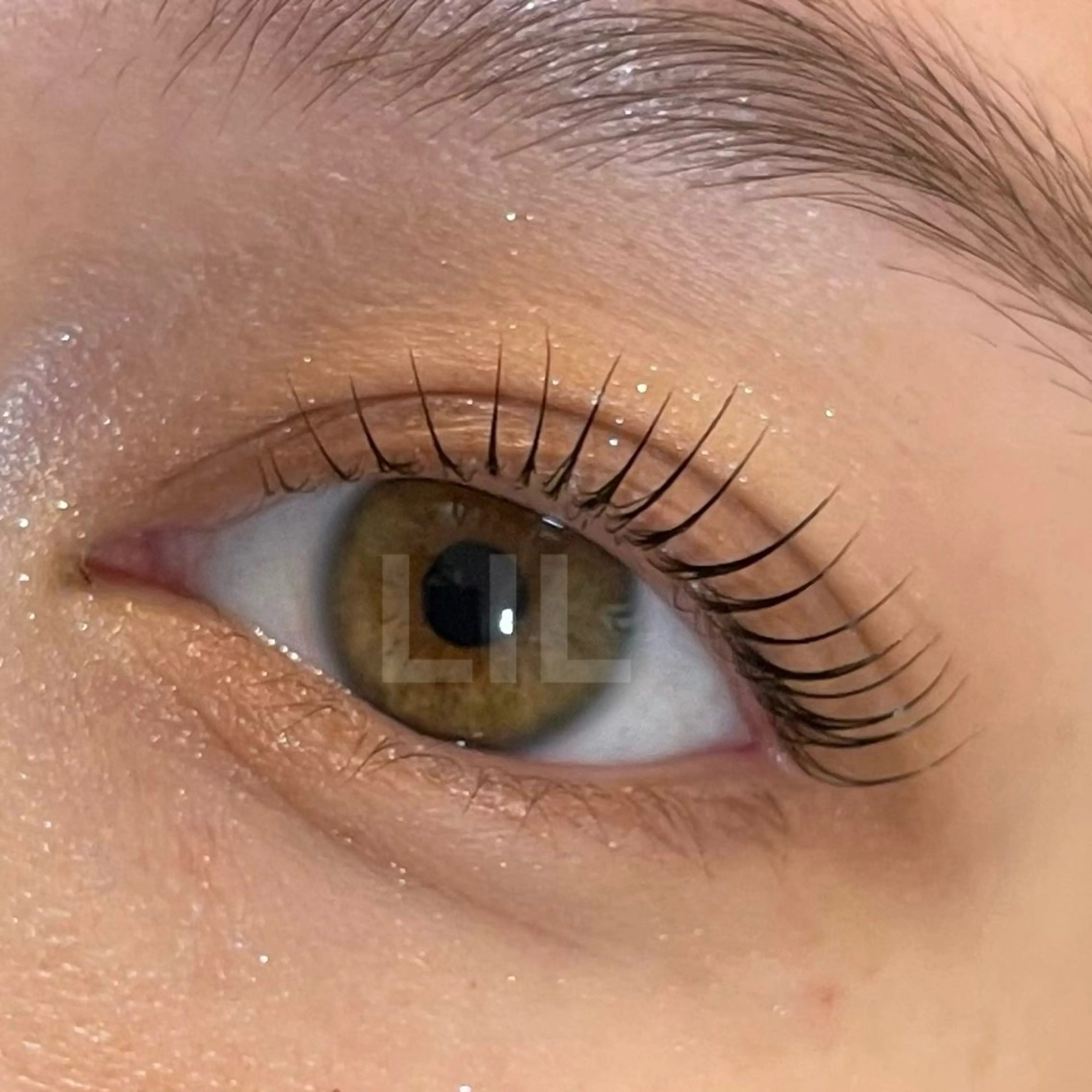 3/7限定◯選べるデザイン💫パーソナルラッシュリフト💐【パリジェンヌ/まつげパーマ】の写真