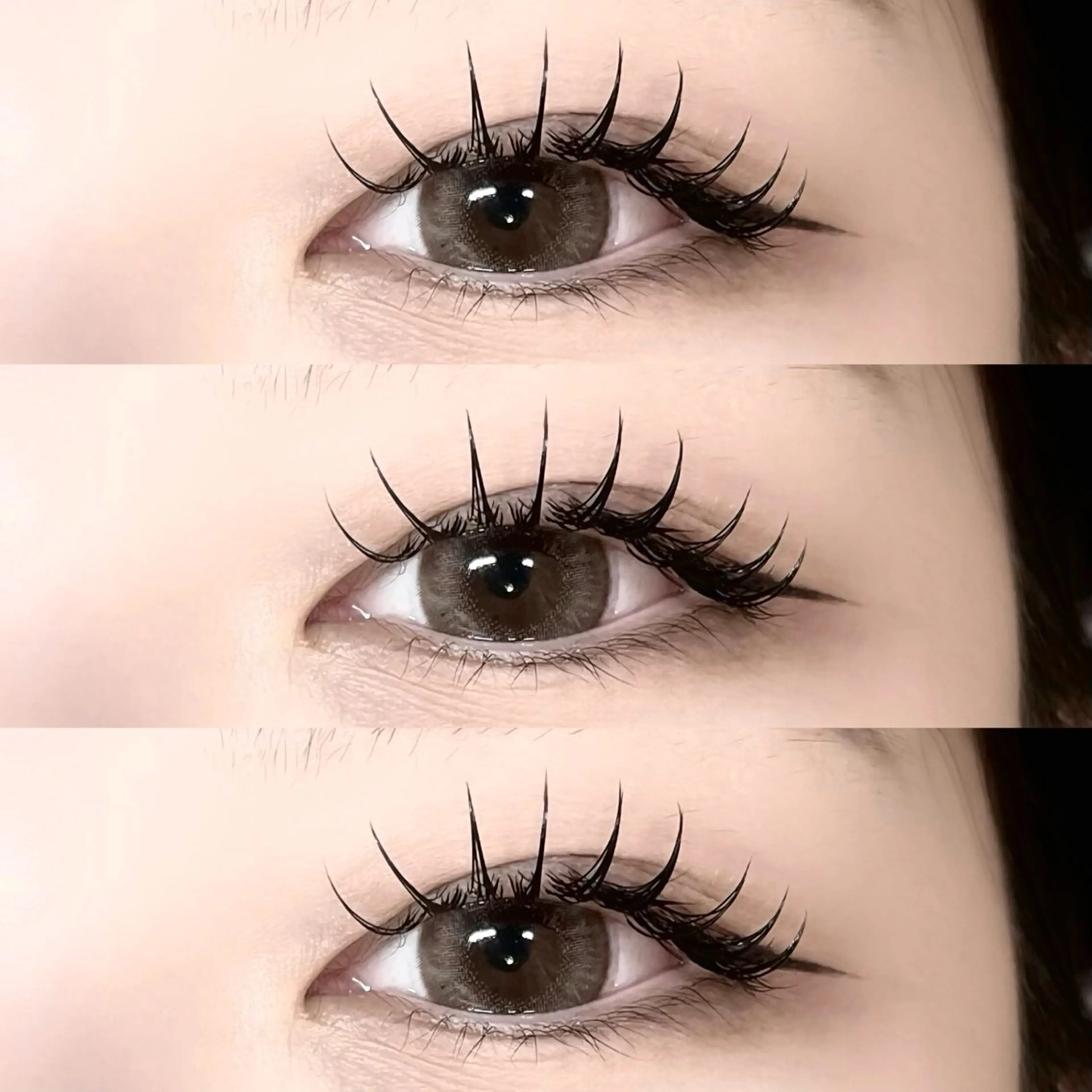 W flat 120束🩵🎀 (LED +1100円)の写真