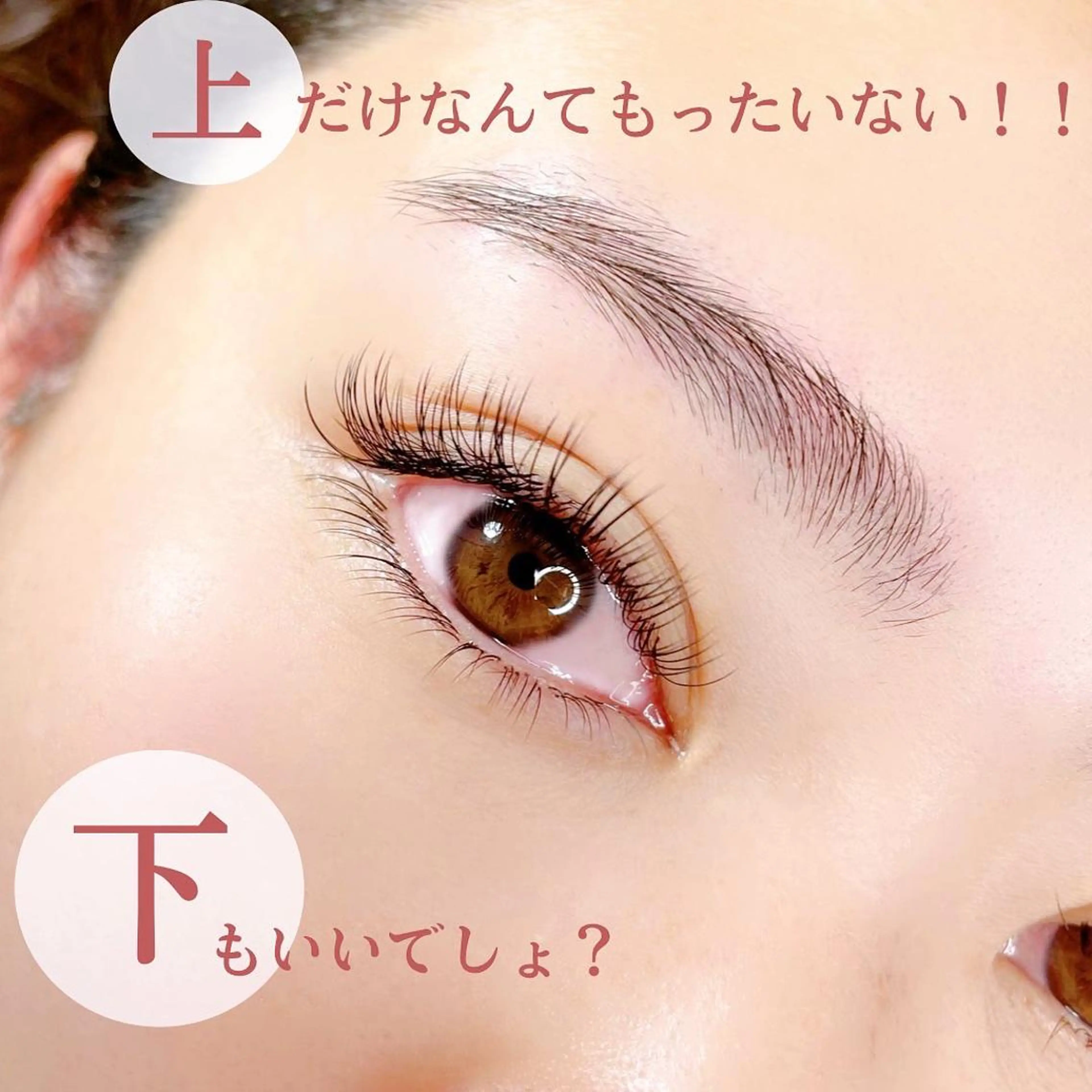 自然な仕上がりだけど、小顔効果👀眼力UP!!フラットラッシュ✨上下まつ毛エクステ振り分け160本 (オフ込）ご新規様☆の写真