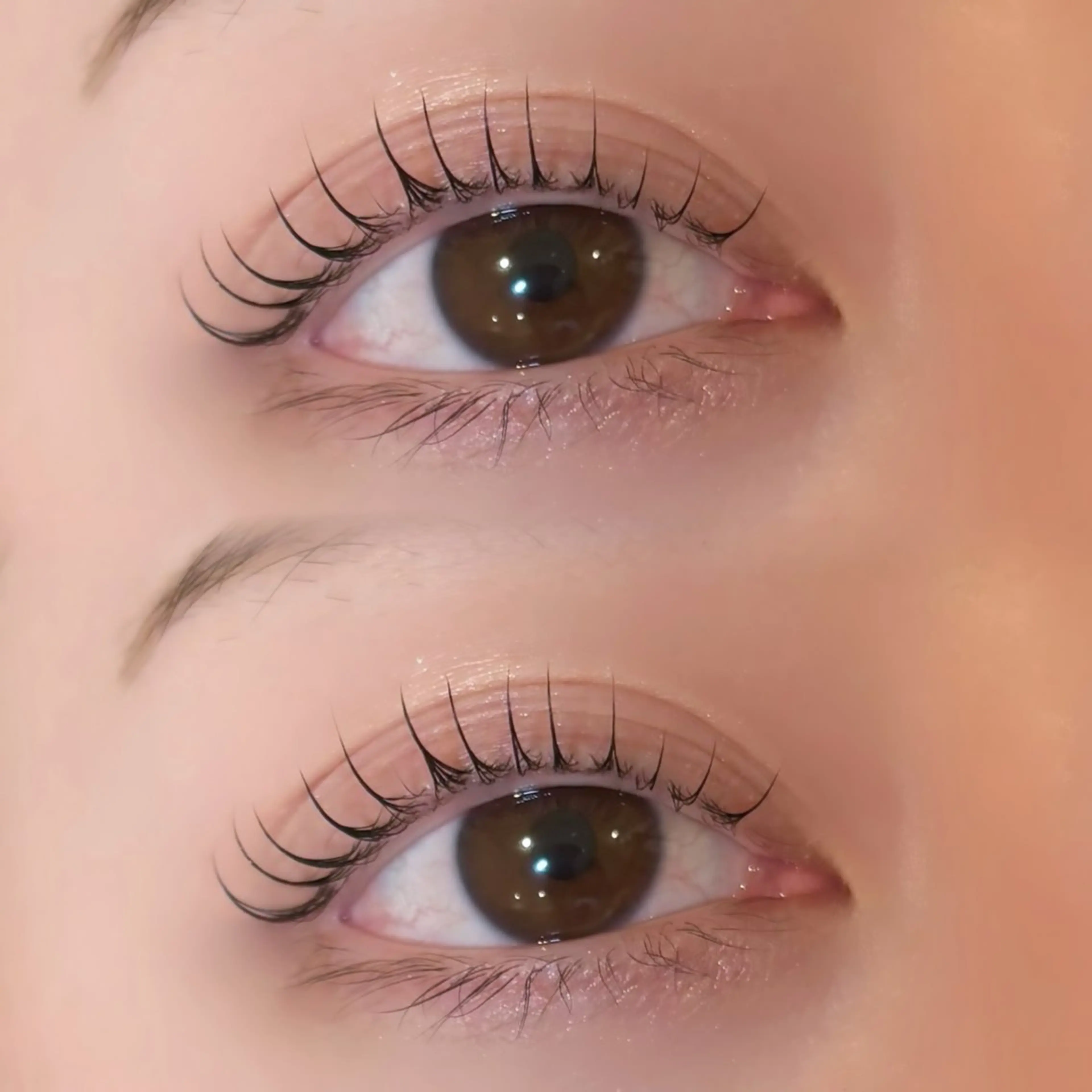 12月限定💖ご新規様💖韓国風まつ毛パーマorパリジェンヌラッシュリフト　束感コーティングお仕上げ✨の写真