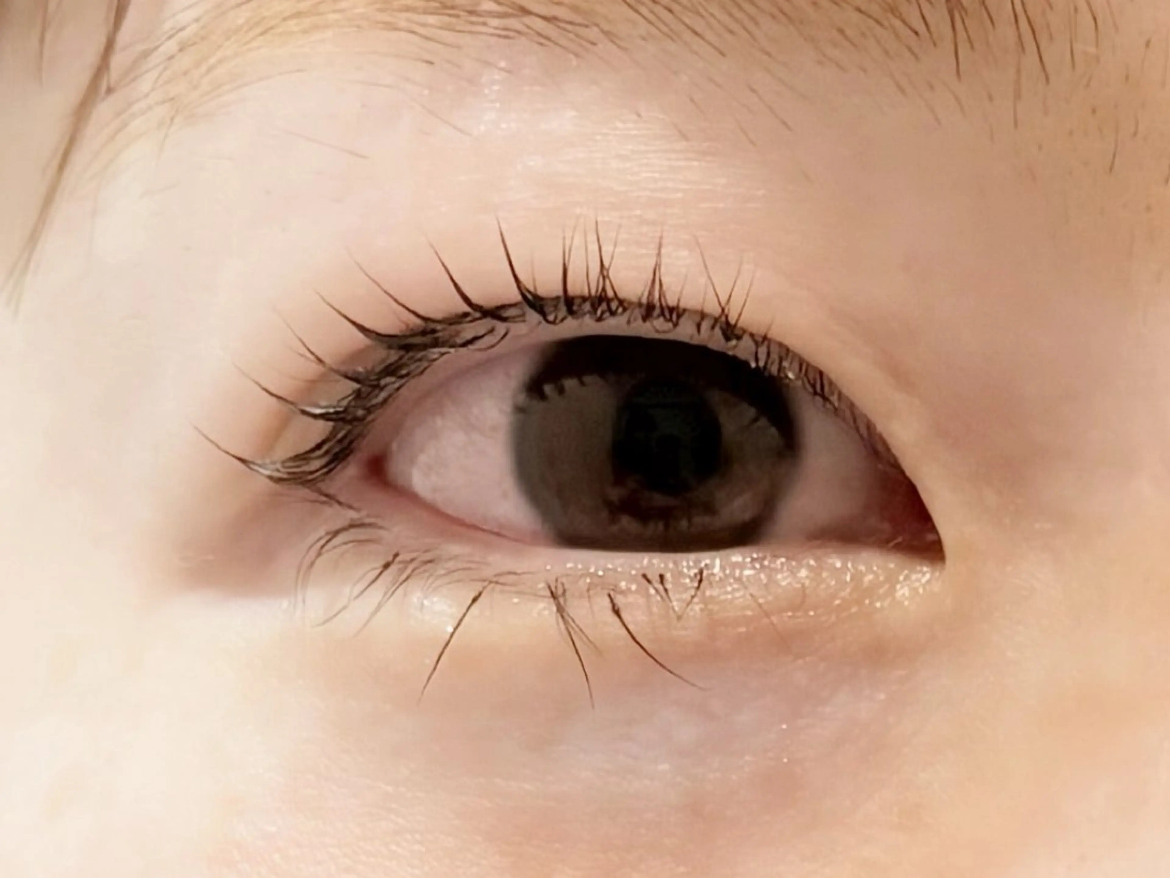 ️🫧無料まつげパーマ➕美容液コーティングの写真