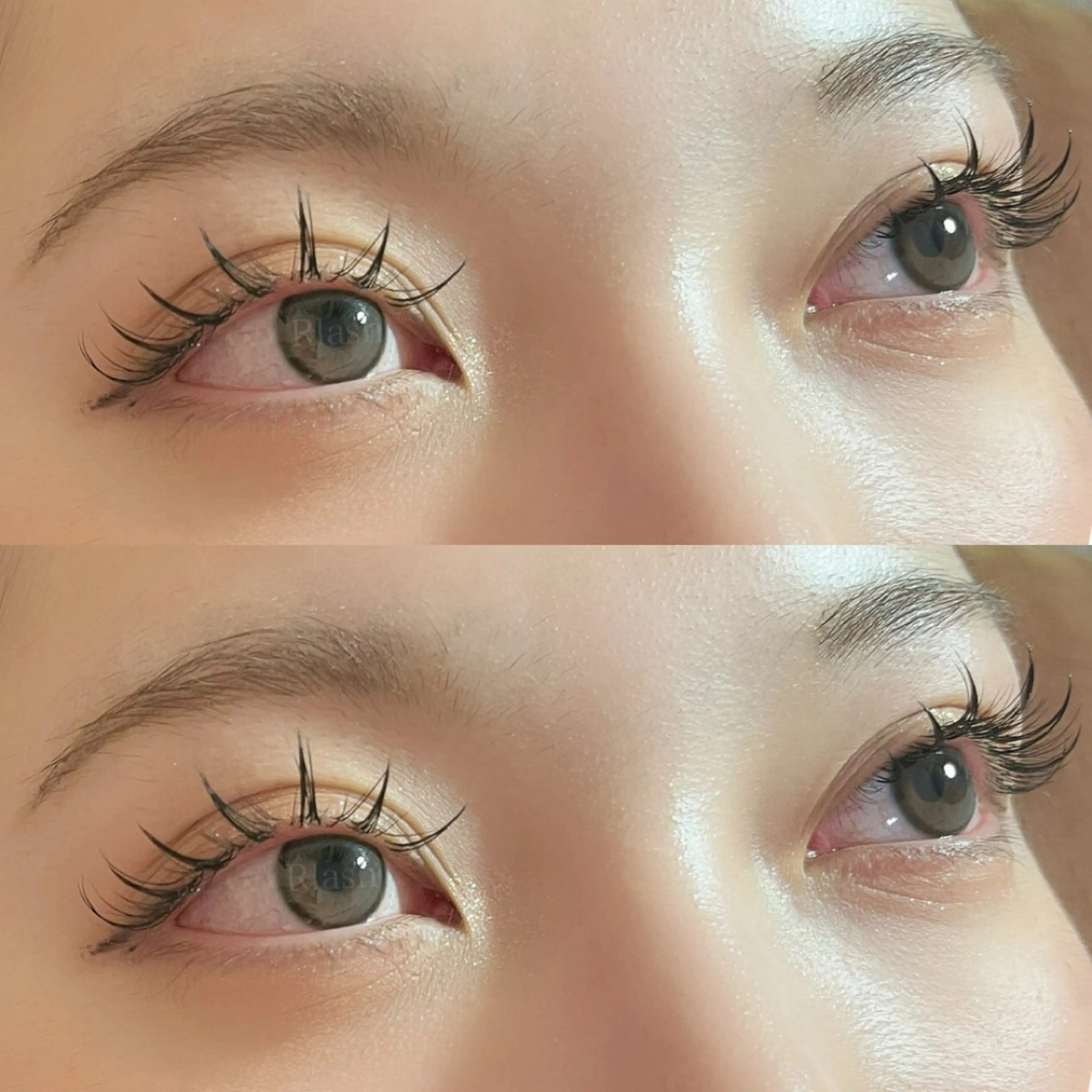 マツエク・マツパ ワンホンマツエク マツエク RIFARE代々木 北井のマツエク・マツパデザイン