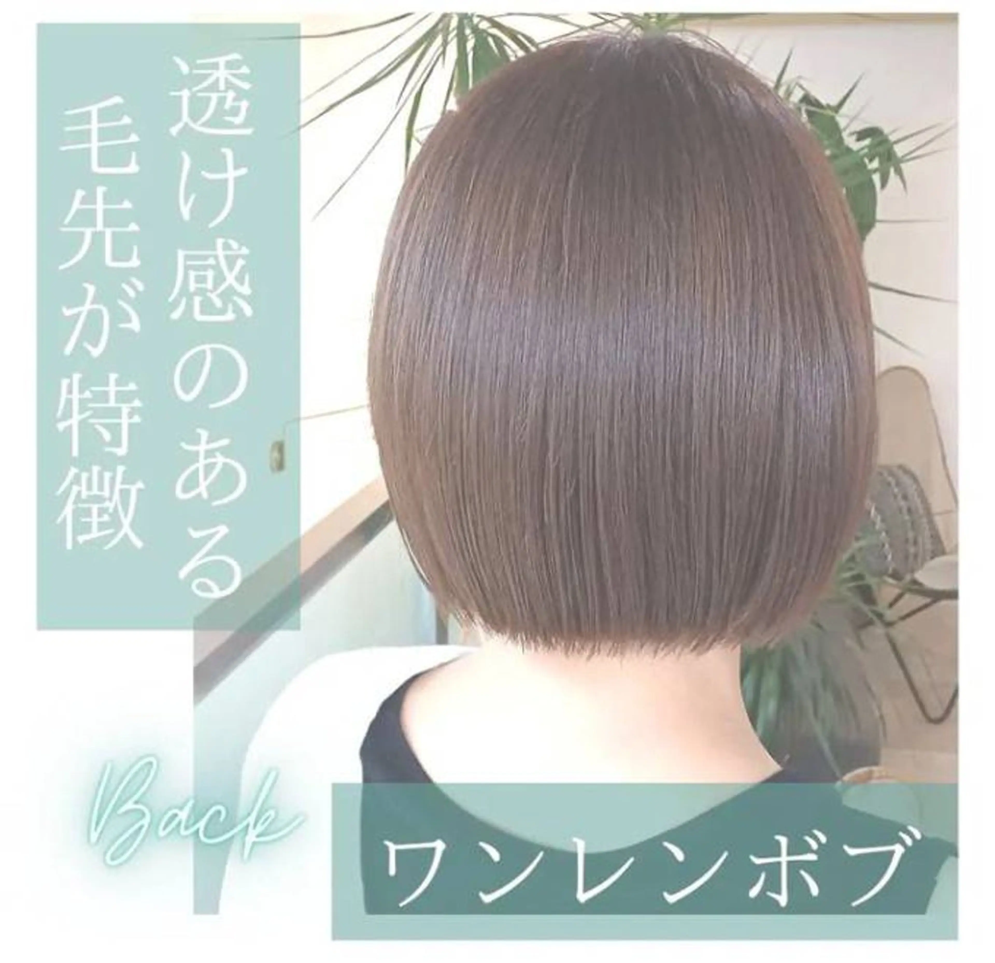 ショート カット ヘアカラー トリートメント SASAKI  MASAAKI のヘアスタイル