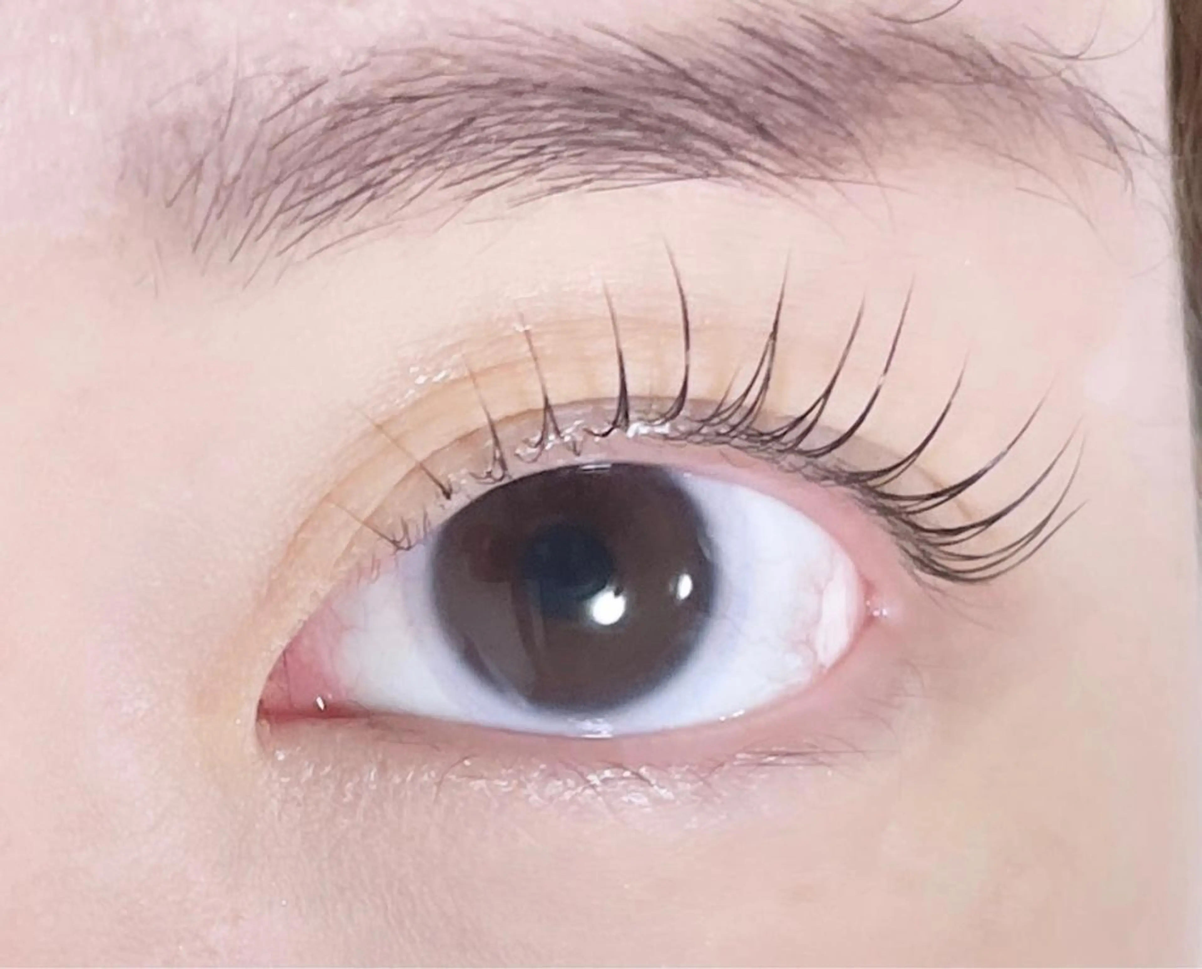 マツエク・マツパ パリジェンヌラッシュリフト TAKEO🖤 マリーテレジア藤が丘のマツエク・マツパデザイン