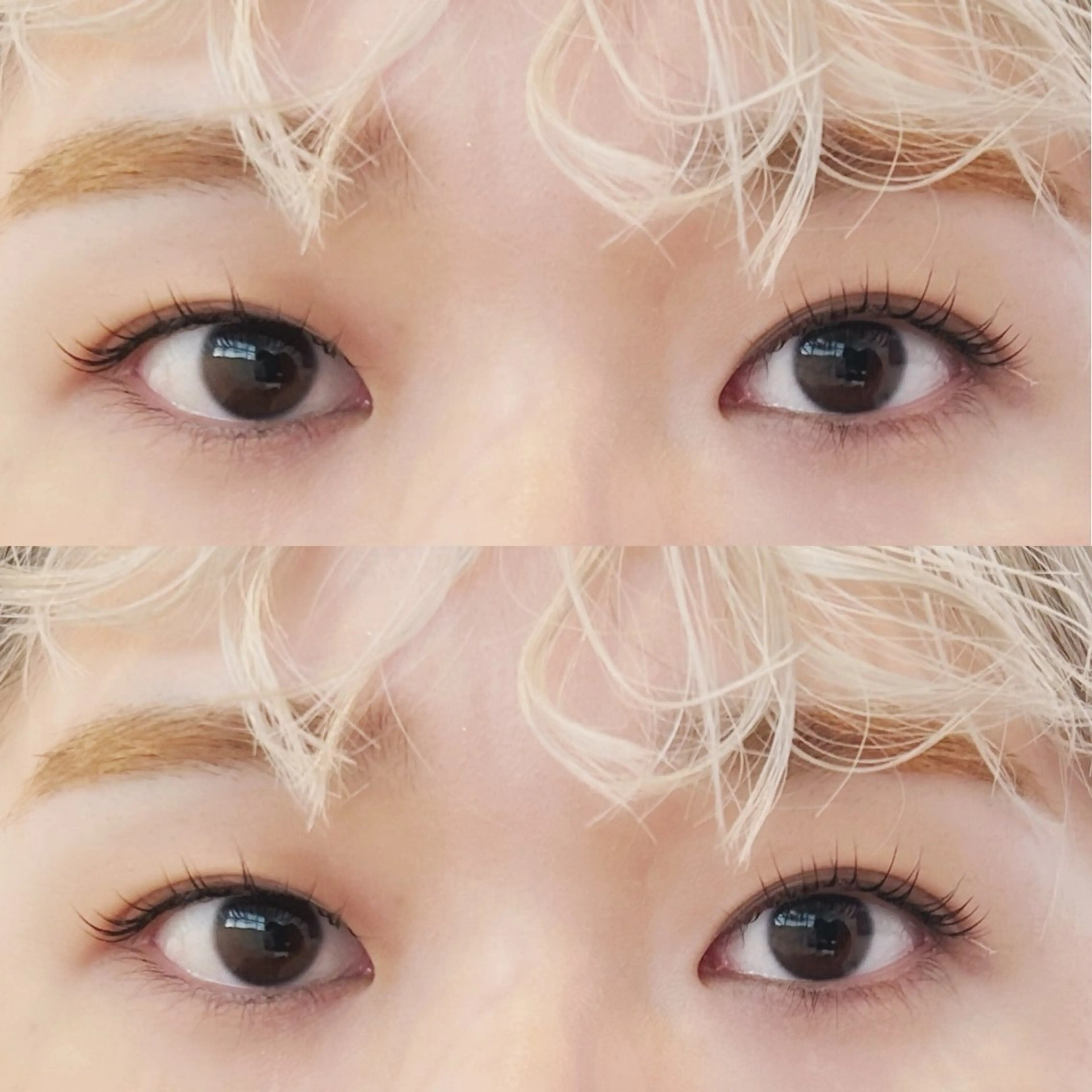 マツエク・マツパ 🌿CALME🌿 wakanaのマツエク・マツパデザイン