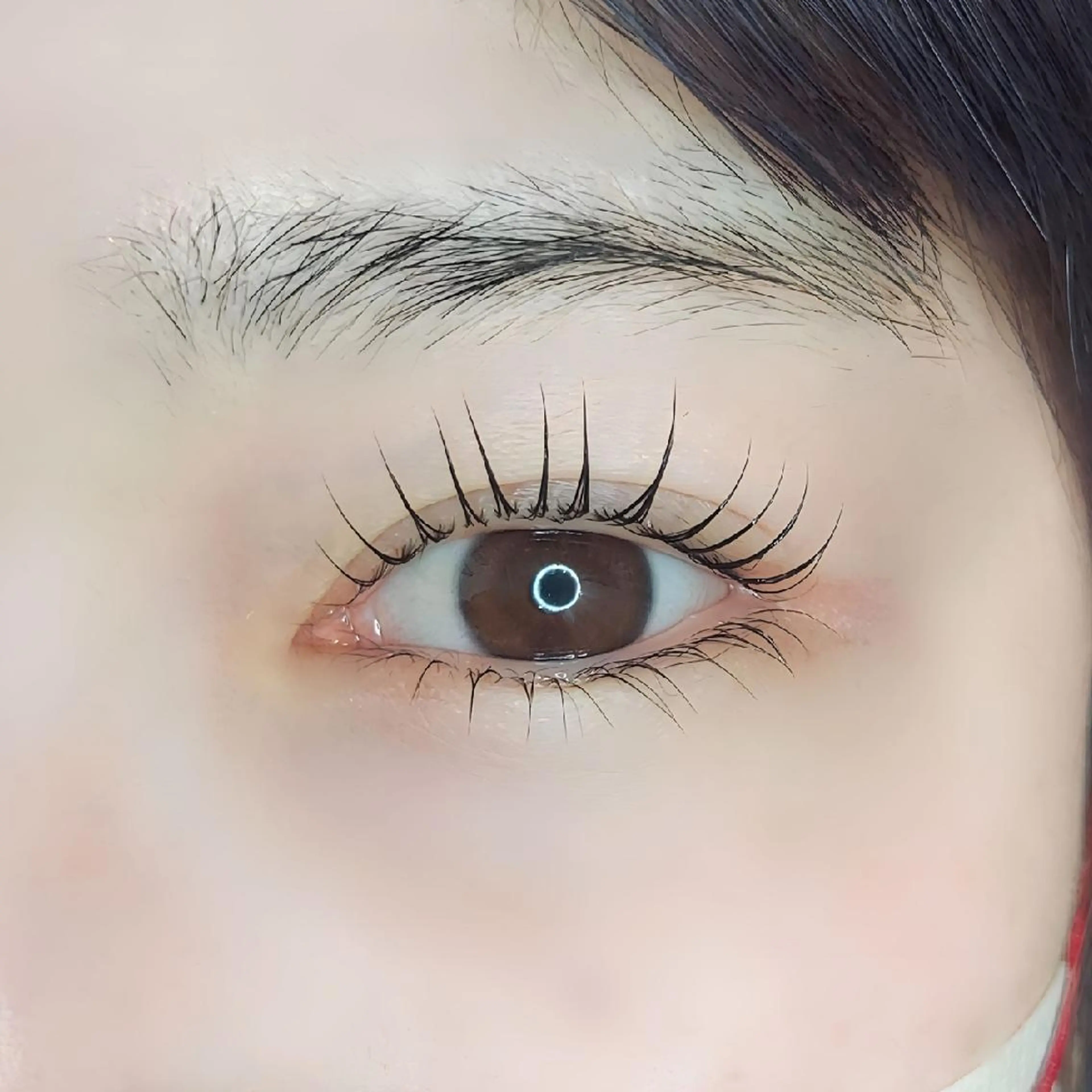 上下まつげパーマの写真