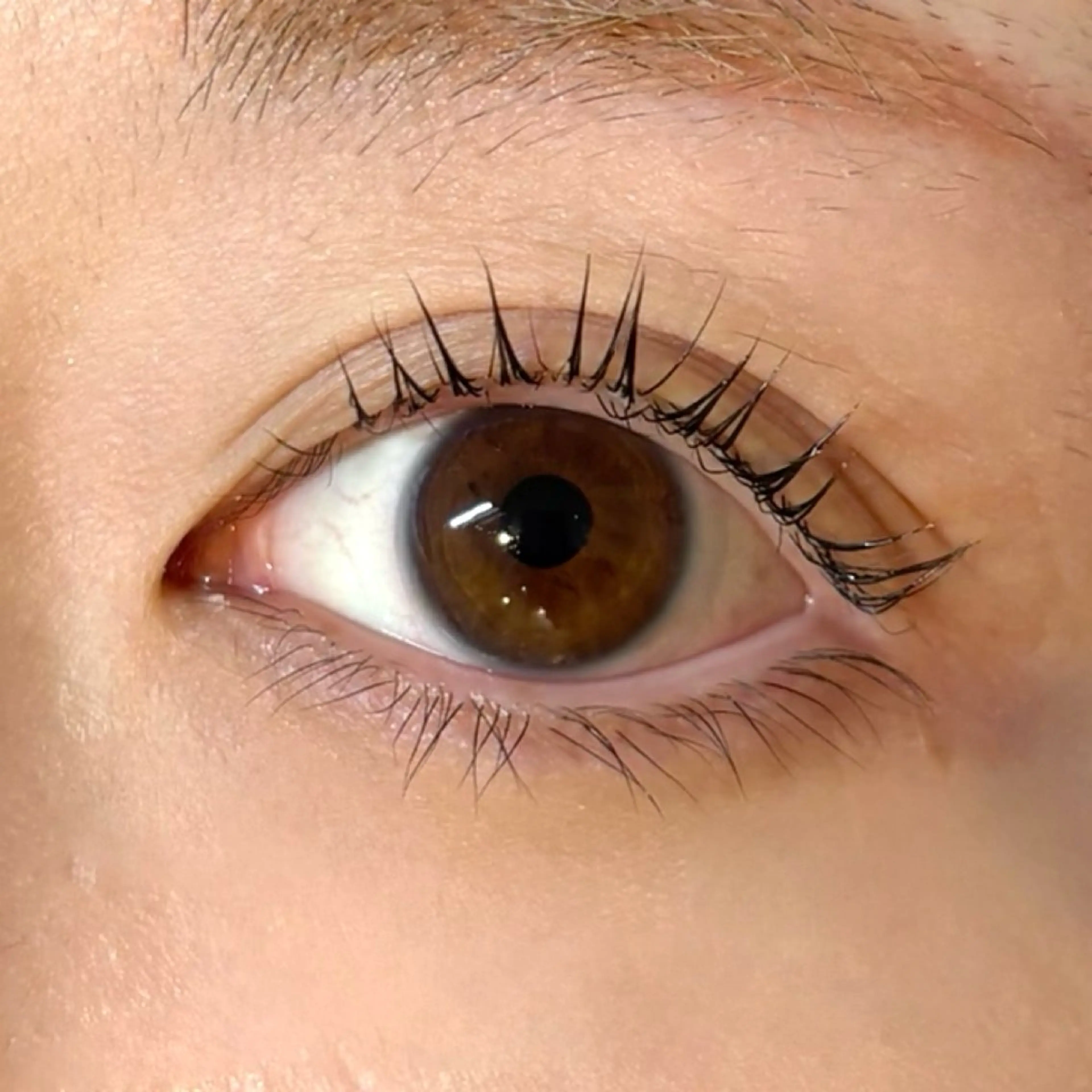 マツエク・マツパ jessica🪽 yoshida🩰のマツエク・マツパデザイン