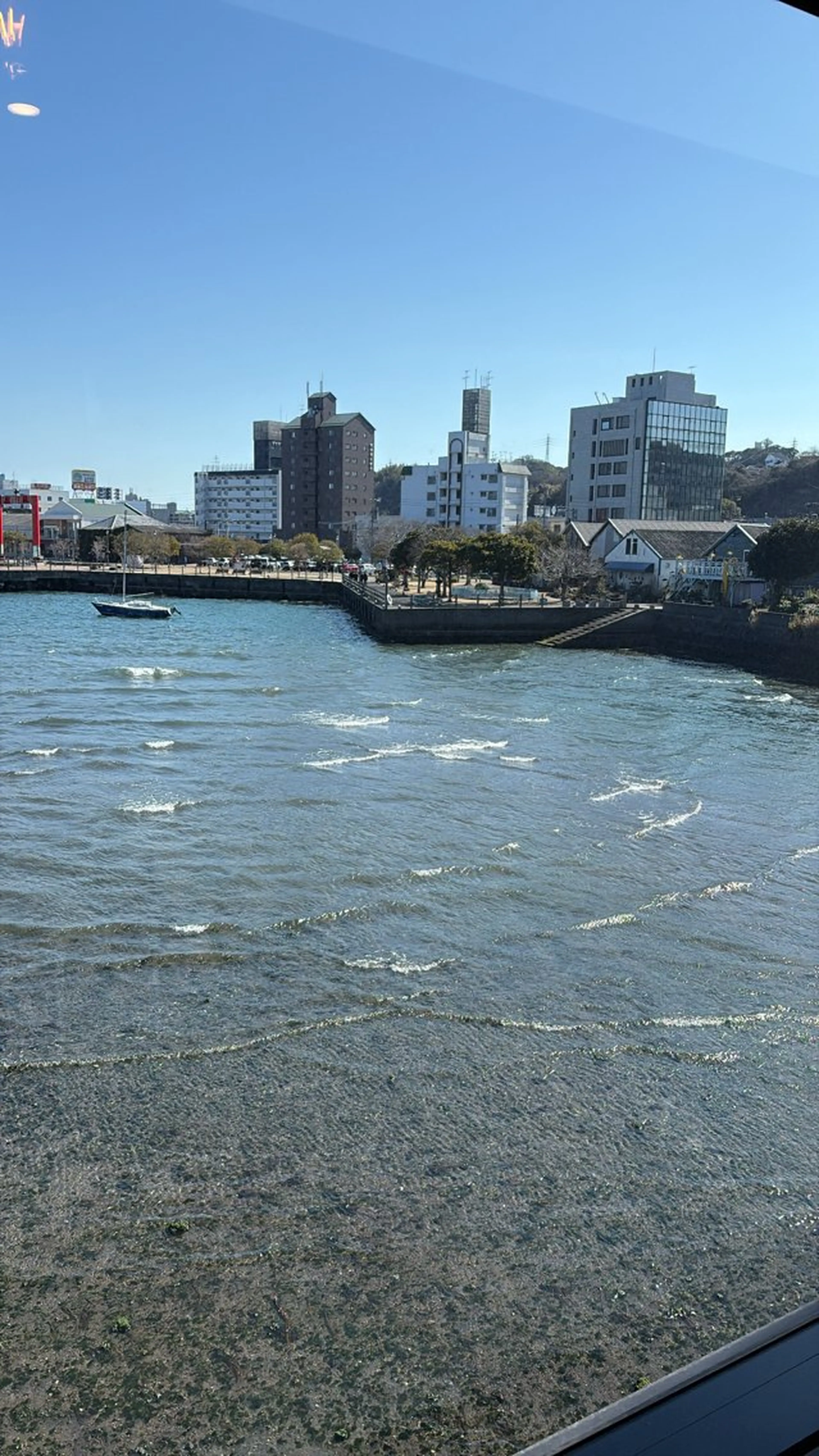 Private Salon S.Nail所属・S.Nail 𓏲⋆🪸.⋆⸜🫧のネイルデザイン