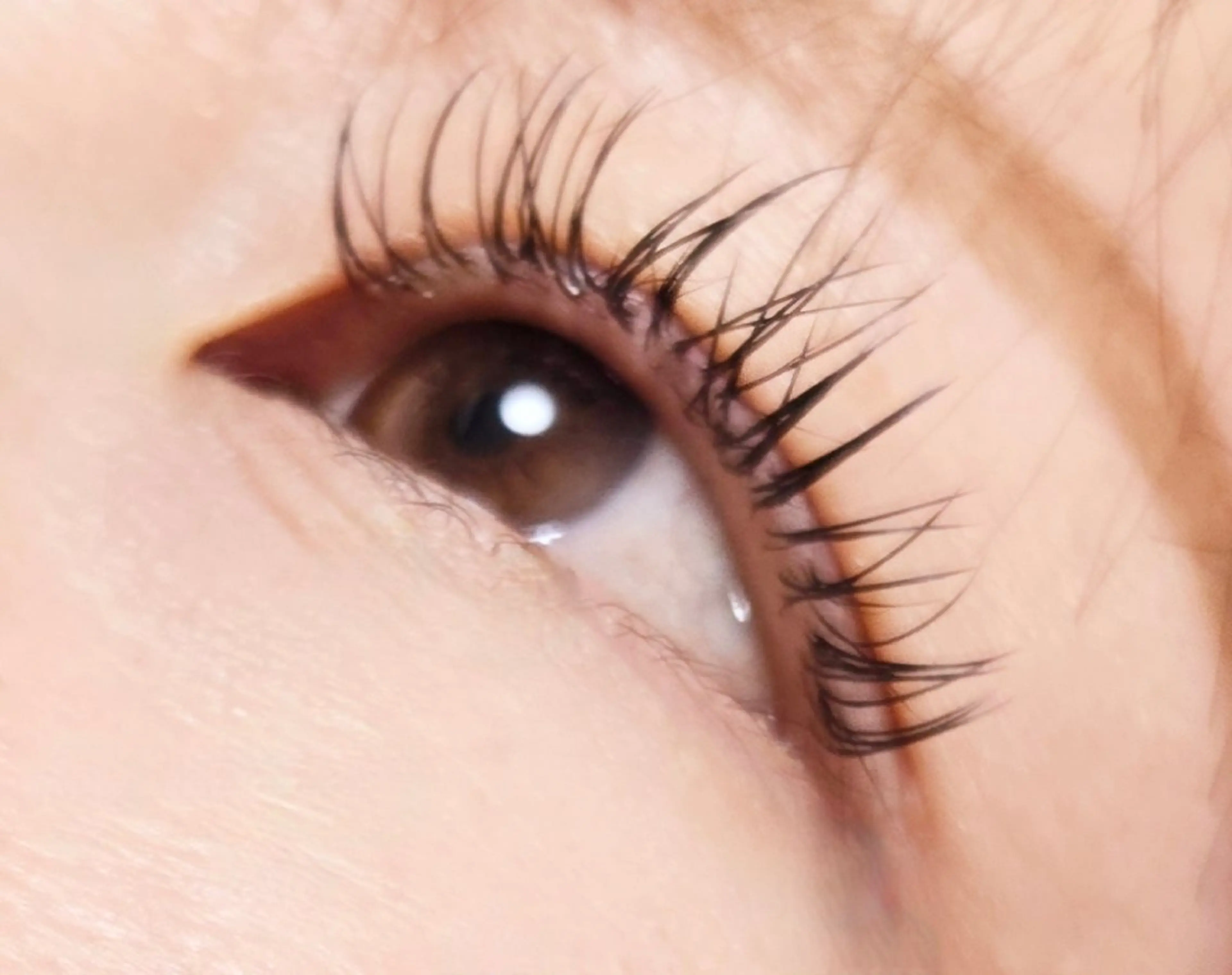 マツエク・マツパ Dカール マツエク EyelashSalon chel所属・新越谷駅徒歩１分❇️ Salon　chelのマツエク・マツパデザイン