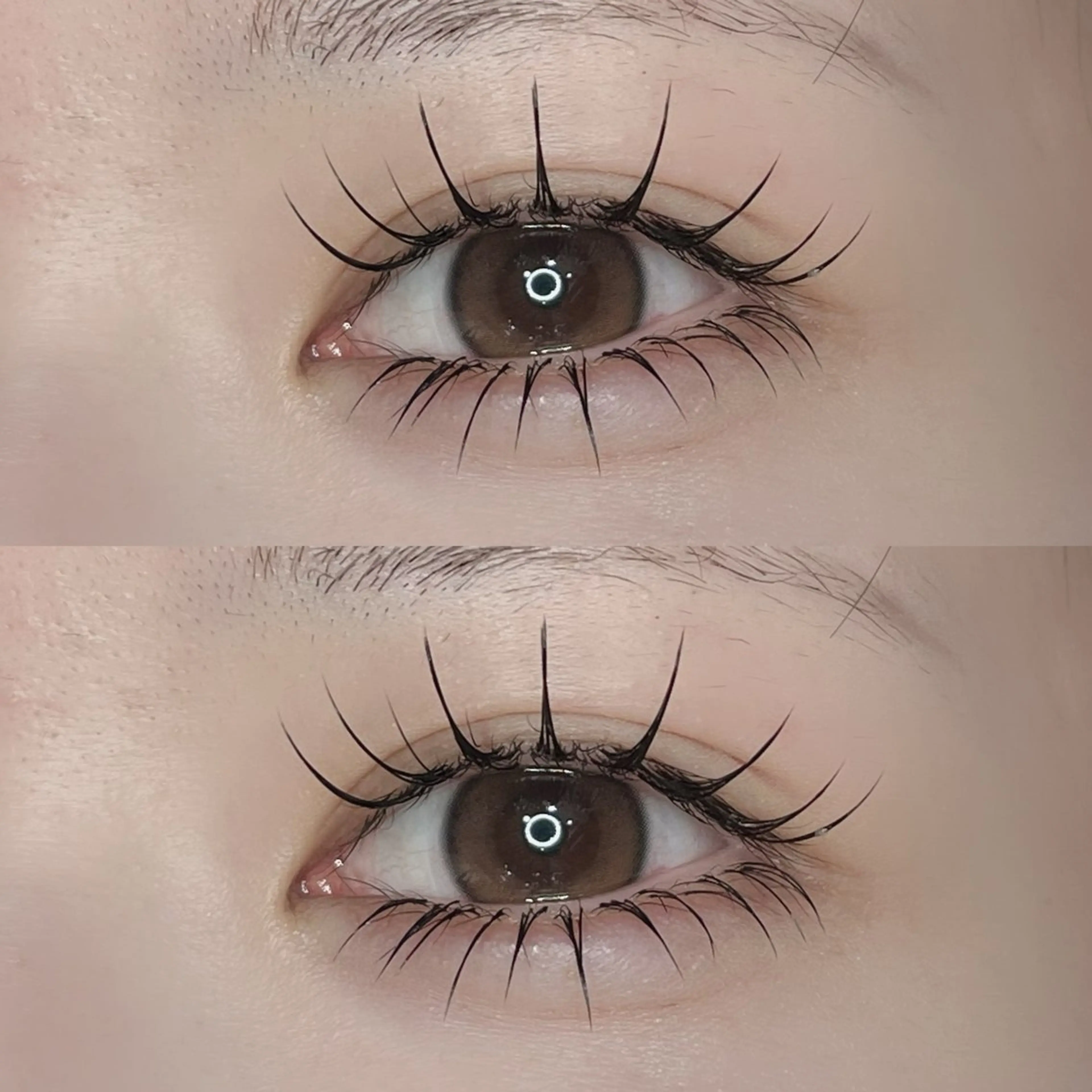 [オフ込み]💡LED💡まつげエクステ100​〜​140本💞の写真