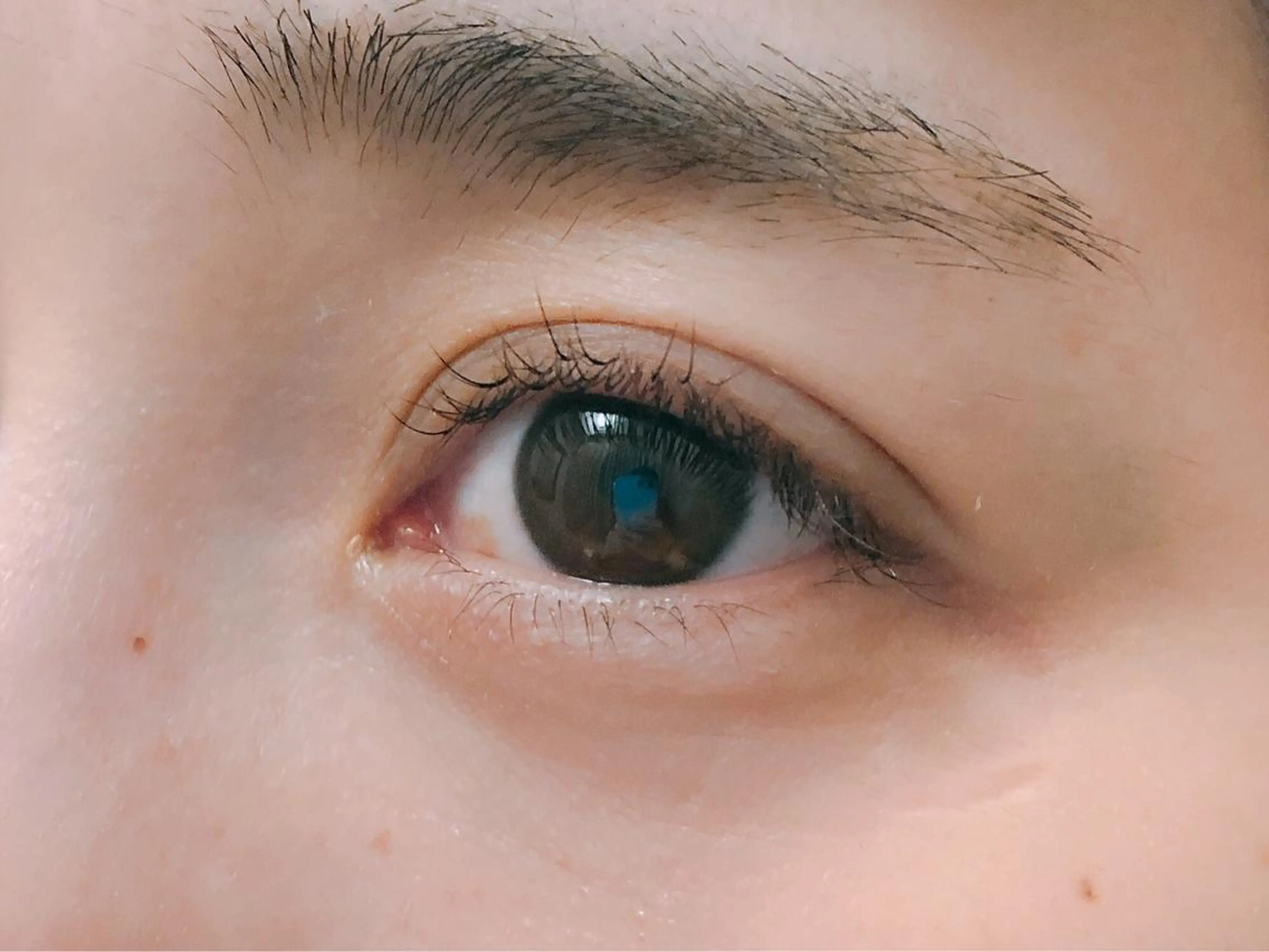 マツエク・マツパ 渋谷 志保の眉毛・アイブロウイメージ