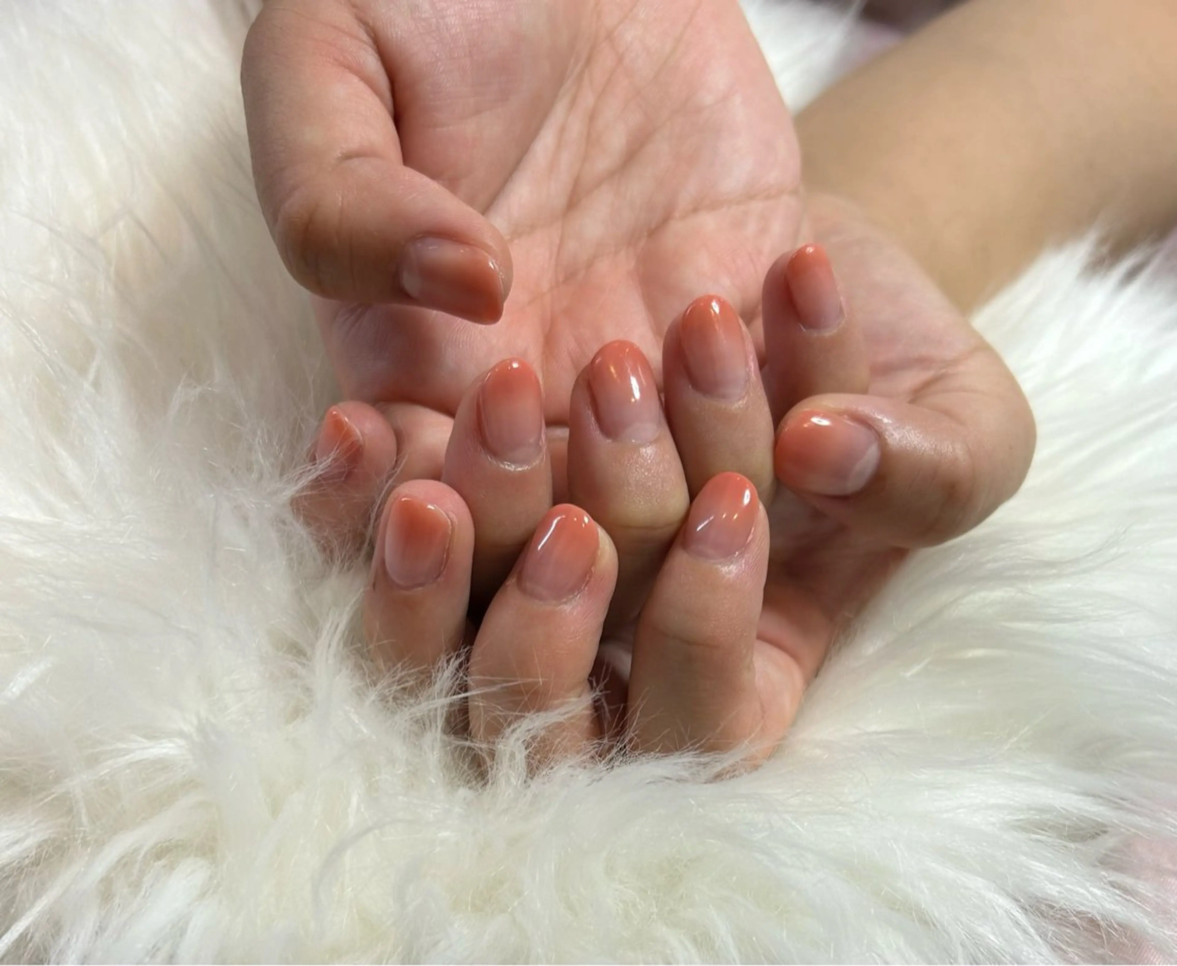 ハンド　オフなし　カラーグラデーションの写真