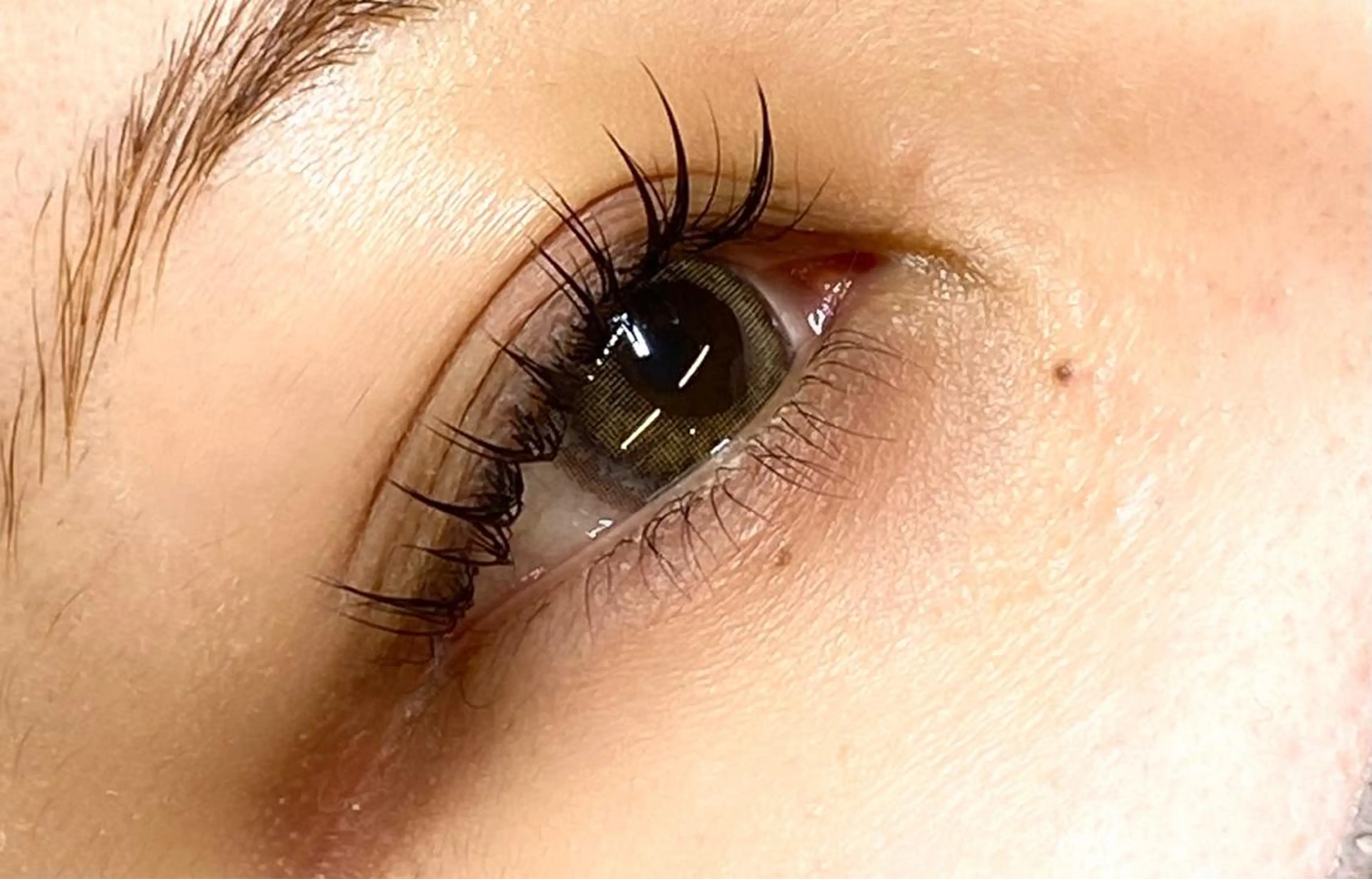 マツエク・マツパ 🌼Alba🌼 犬馬塲のマツエク・マツパデザイン