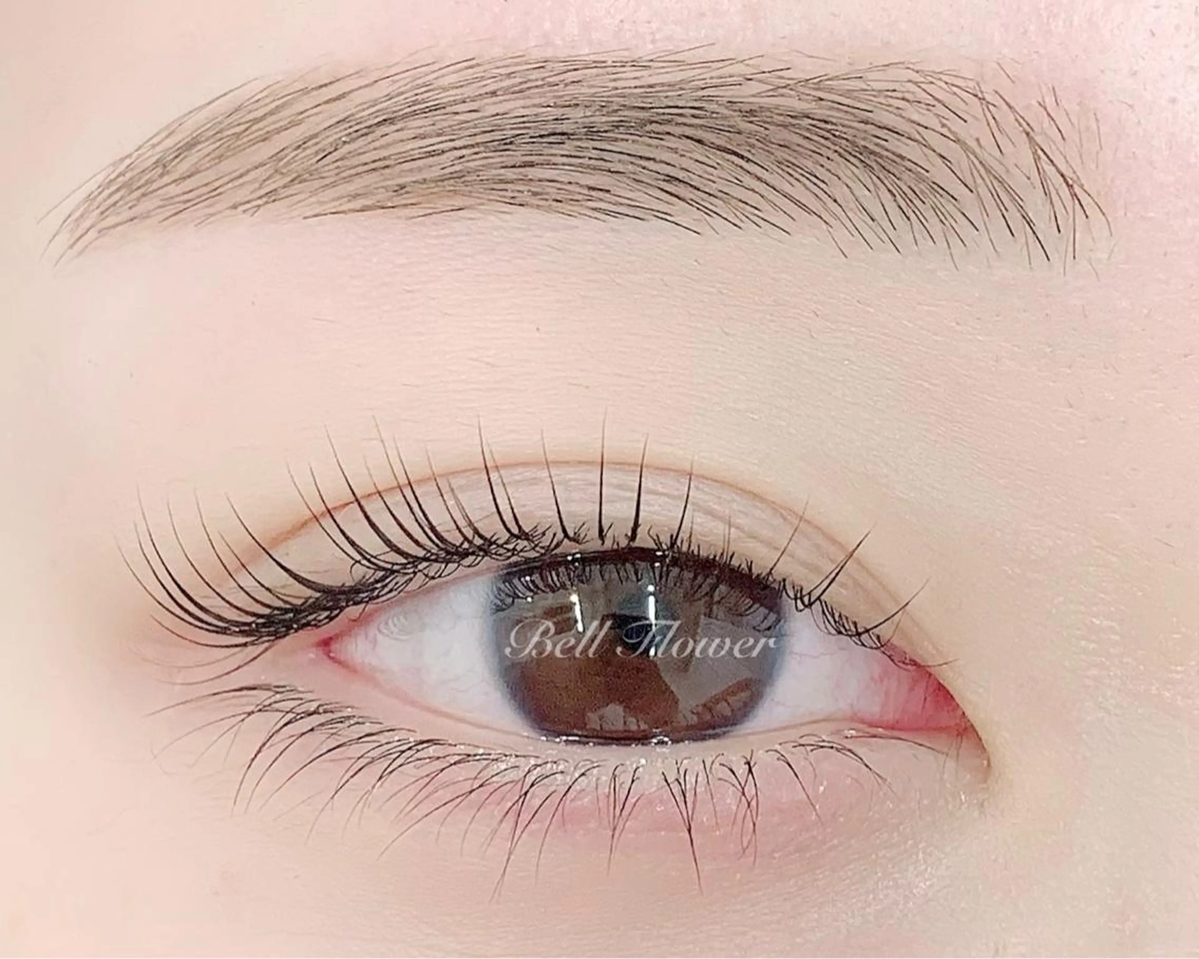 マツエク・マツパ アイブロウ 眉毛ワックス脱毛 パリジェンヌラッシュリフト まつげパーマ BellFlower Aki(眉・まつげ)のマツエク・マツパデザイン