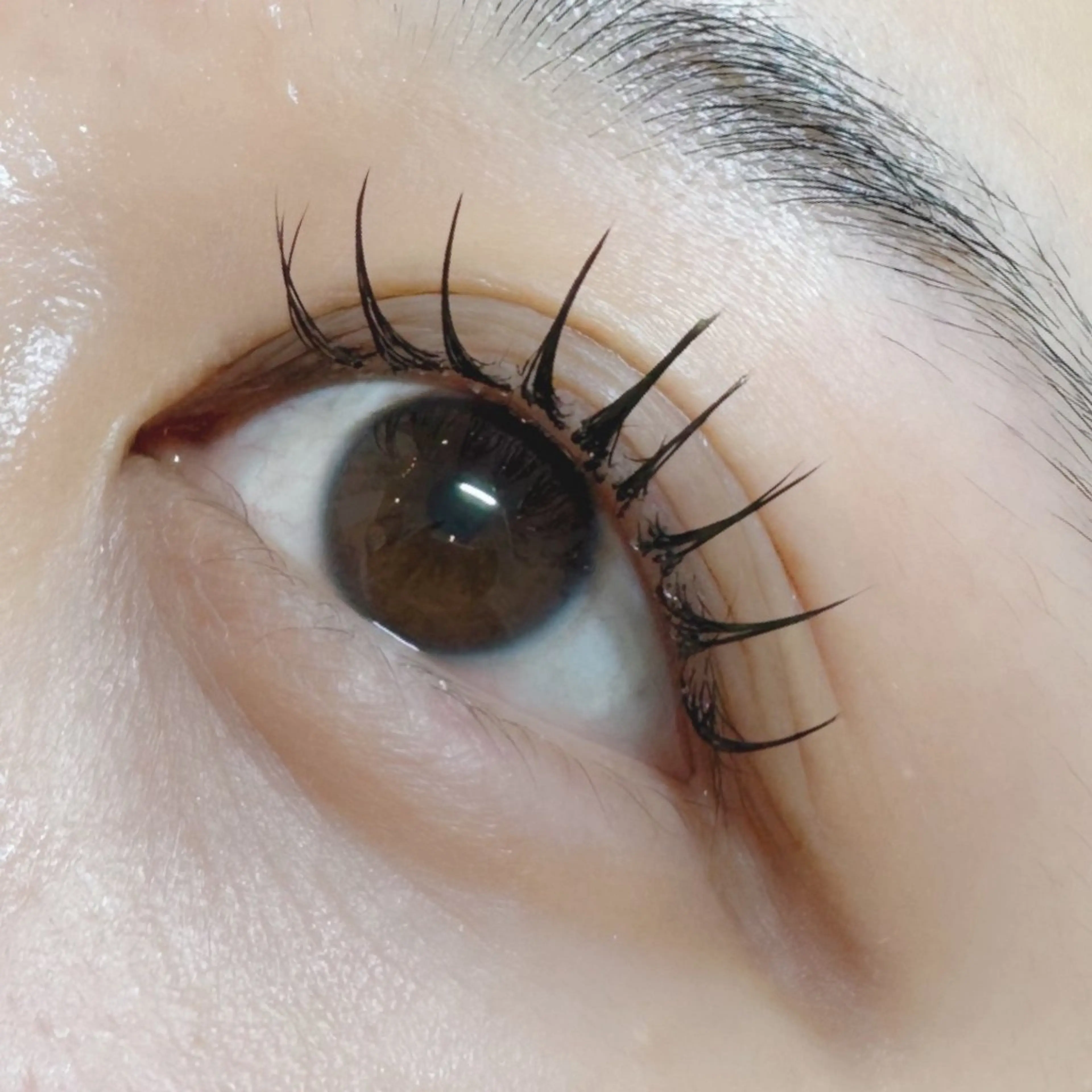 ♡LEDグルーフラットラッシュ♡ 【￥5500】（目安100-120本）の写真