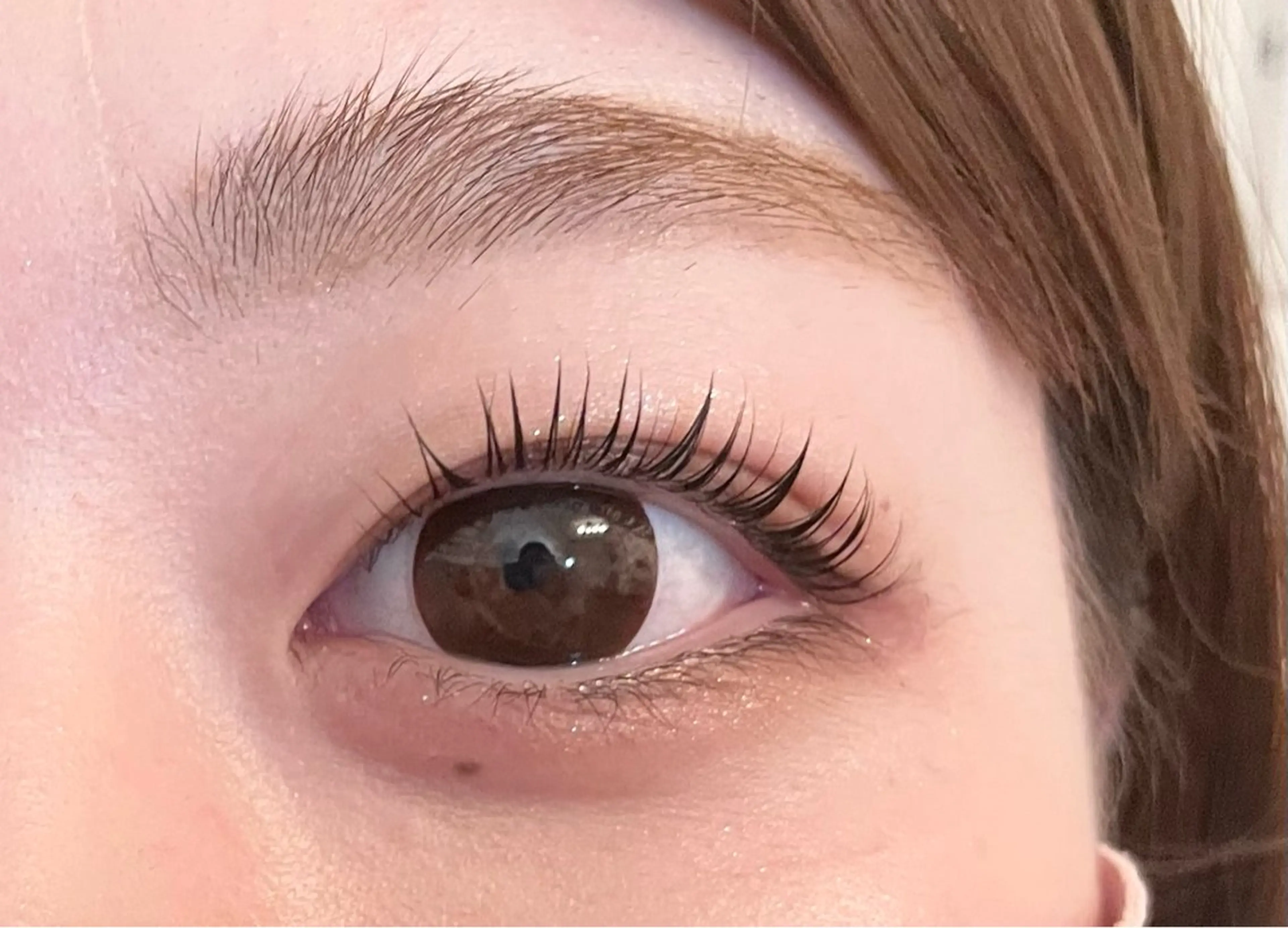 ミニモ限定メニュー🍎ダブルフラット(バインドロック)60束120本の写真