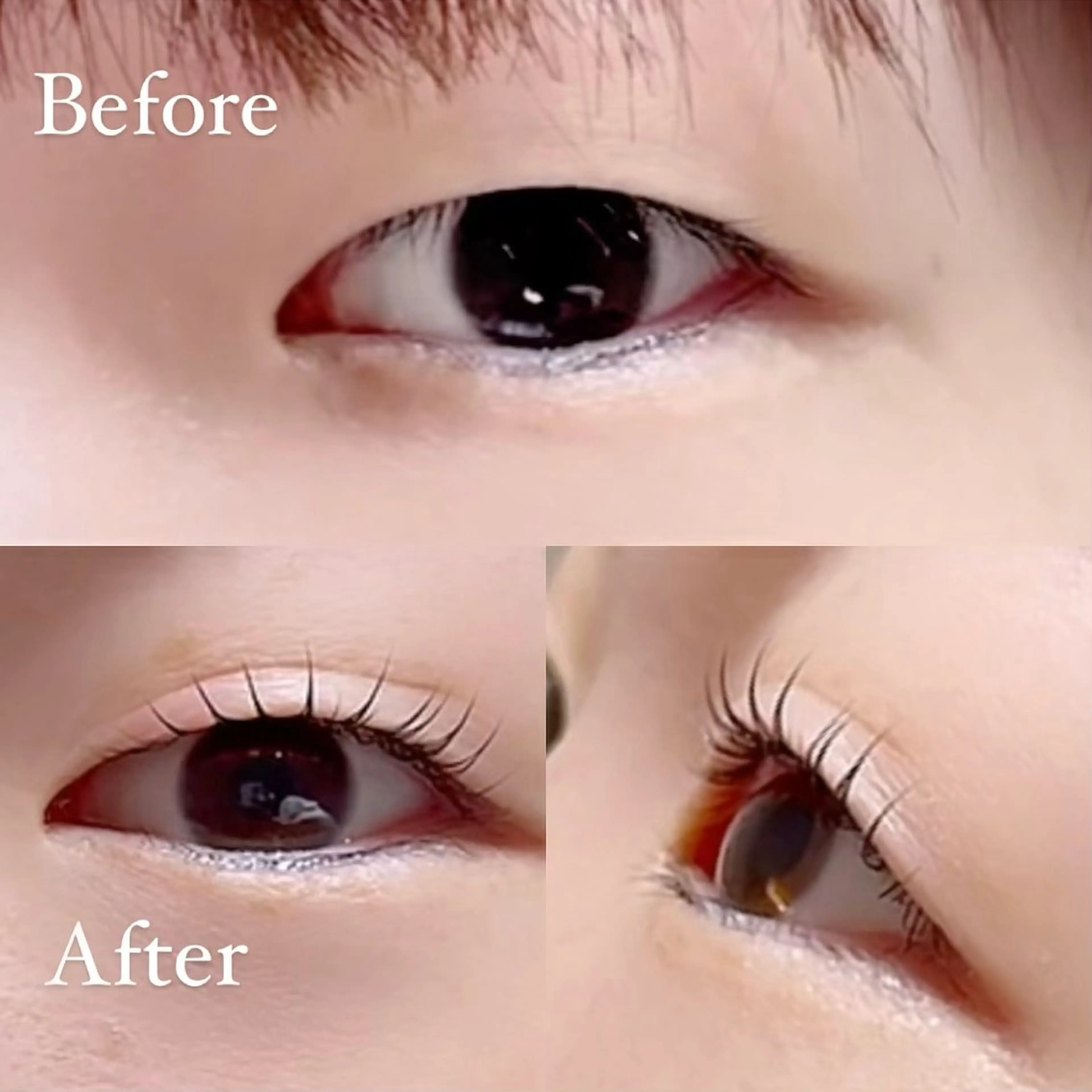 マツエク・マツパ SAKUKU韓国式 まつ毛パーマ専門店のマツエク・マツパデザイン