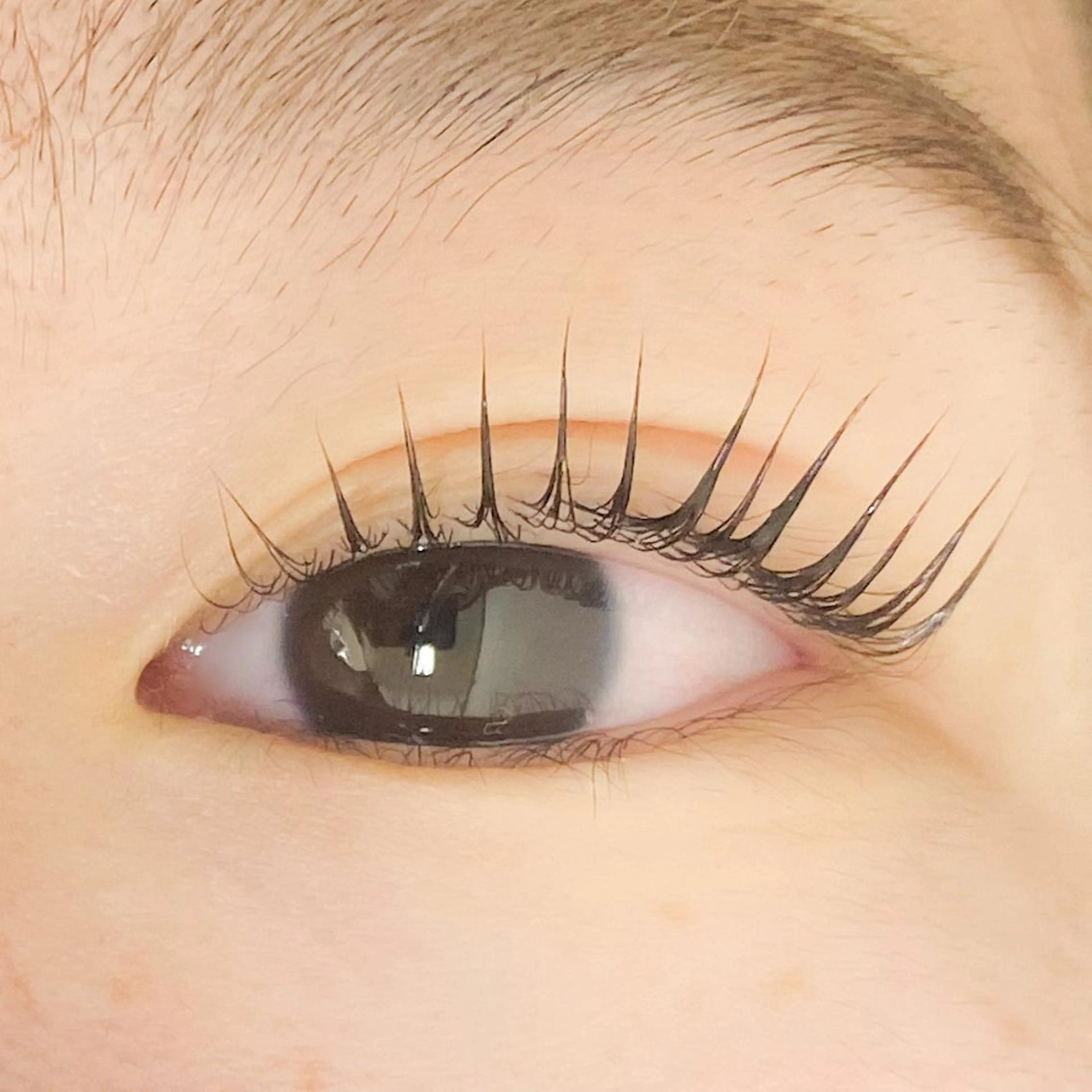 マツエク・マツパ Lifmo立川店 平原のマツエク・マツパデザイン