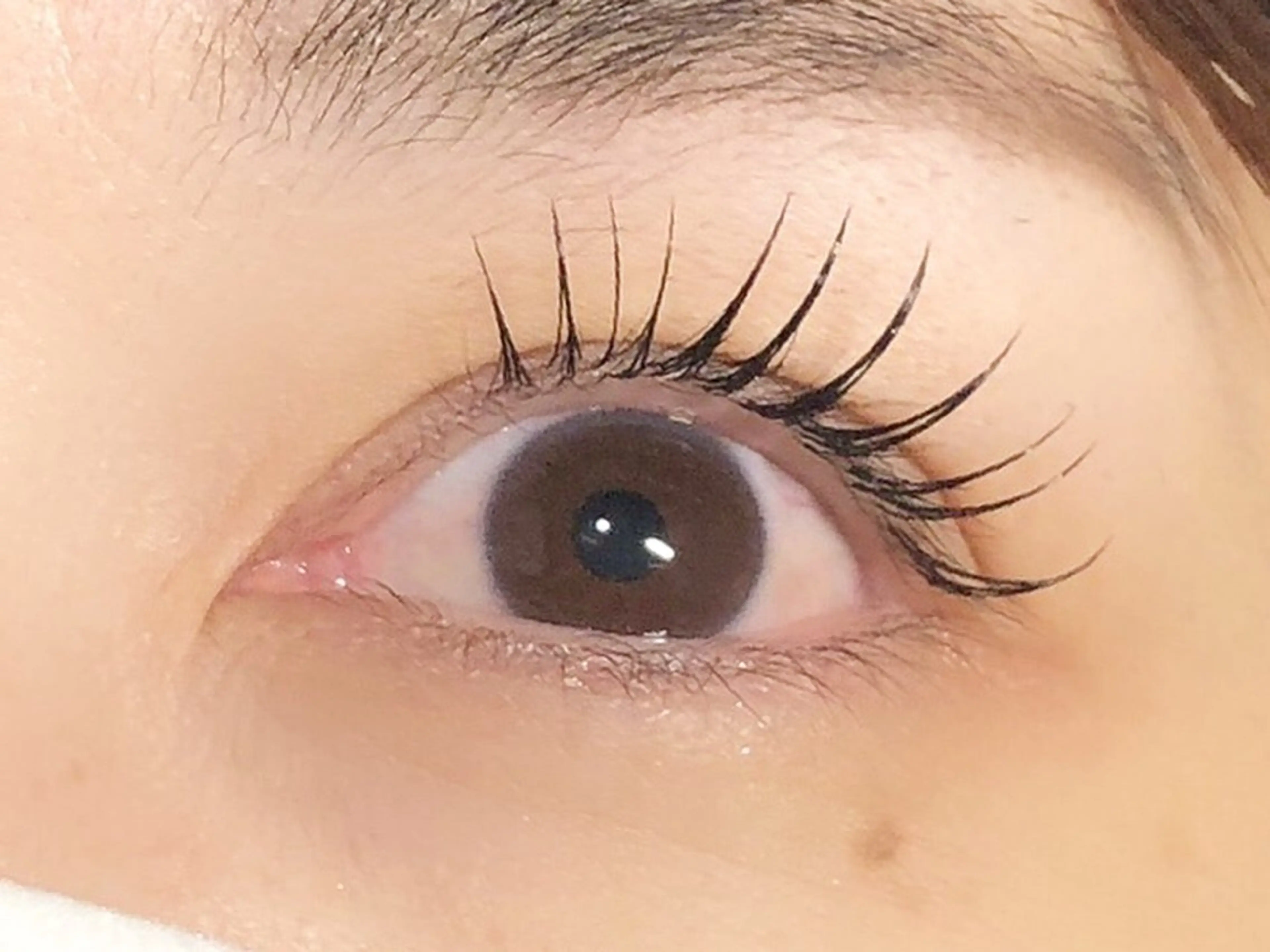 マツエク・マツパ まつげパーマ Dahliaダリア 斉藤のマツエク・マツパデザイン