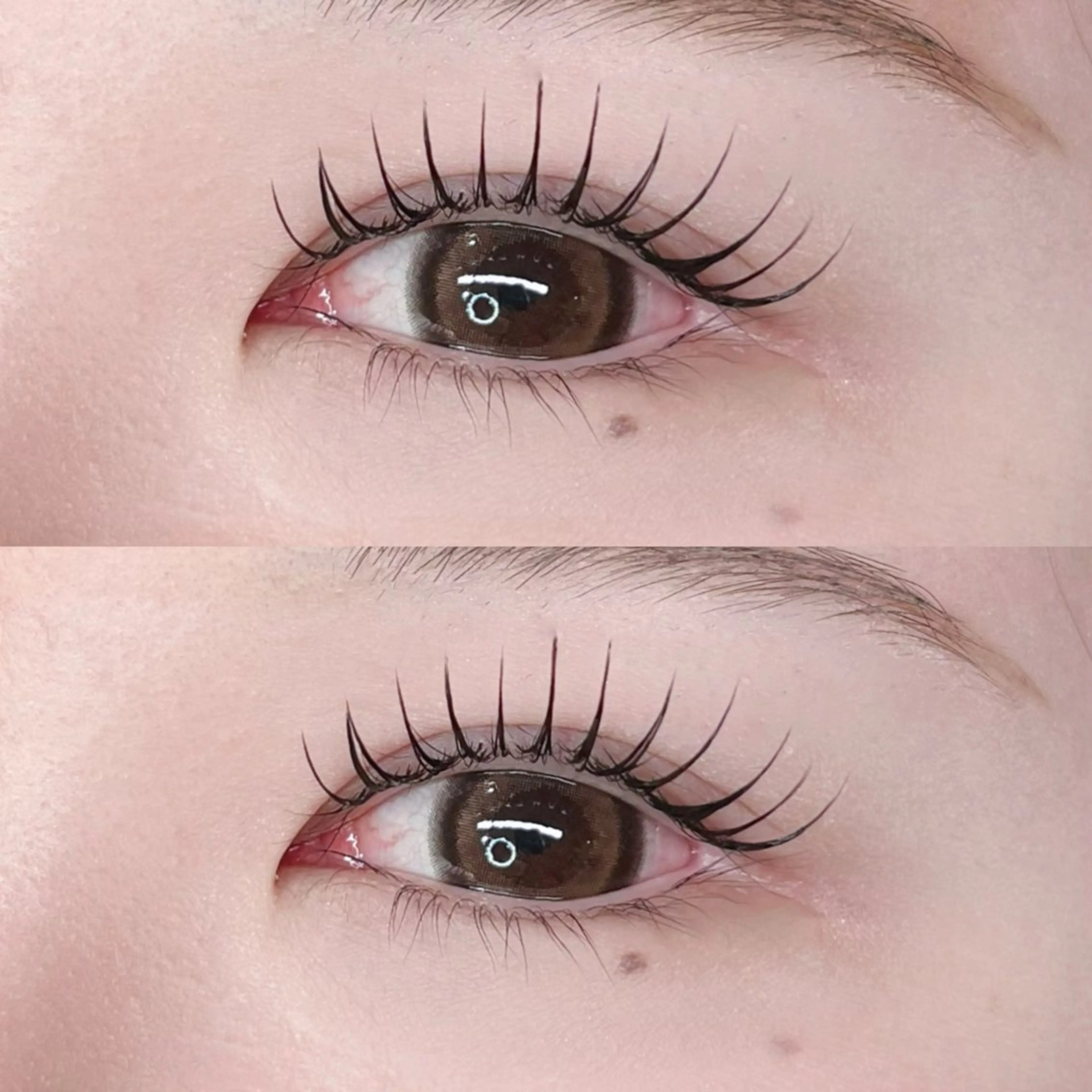 ミニモ限定🖤パリエク120本🖤の写真