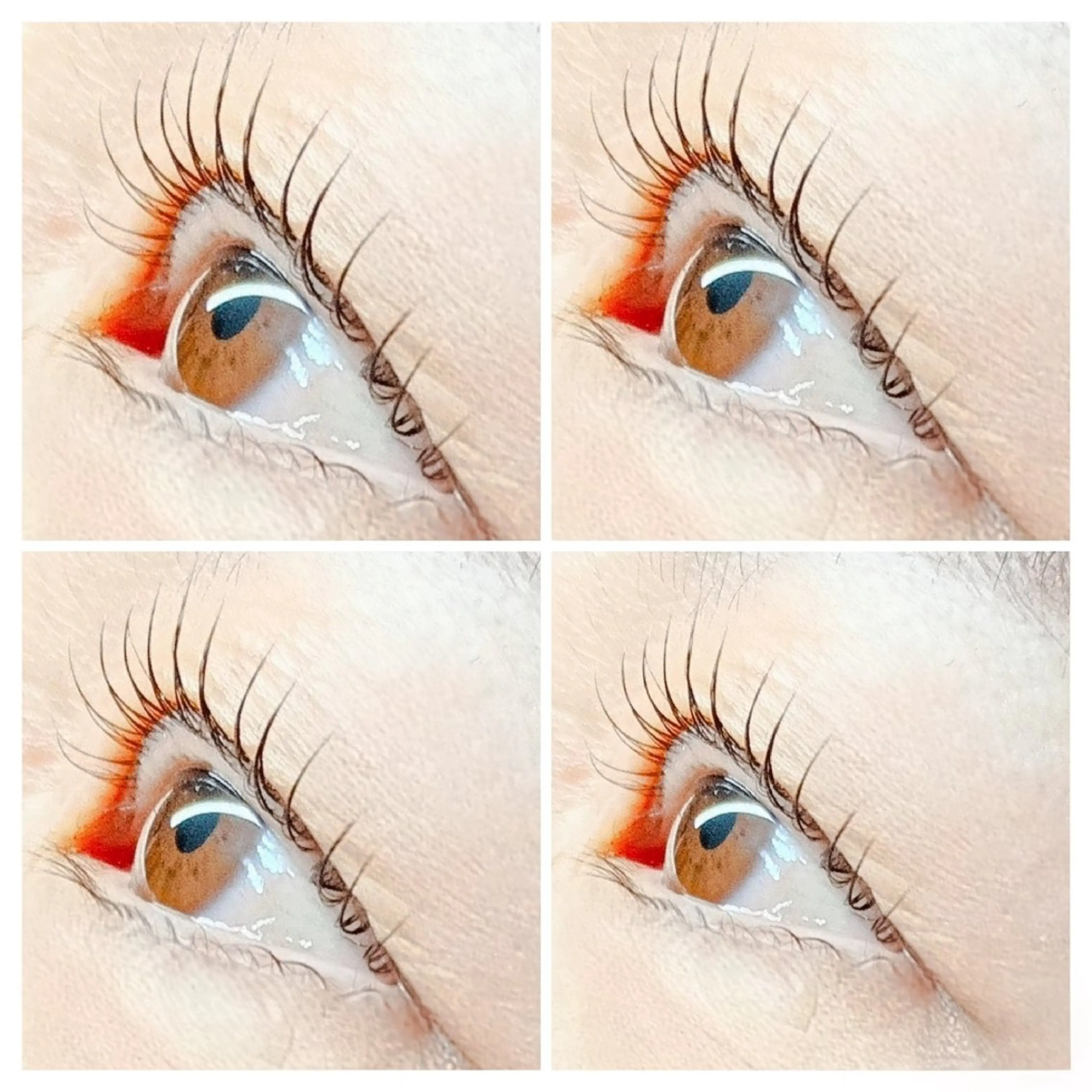 マツエク・マツパ Avenue Naomiのマツエク・マツパデザイン