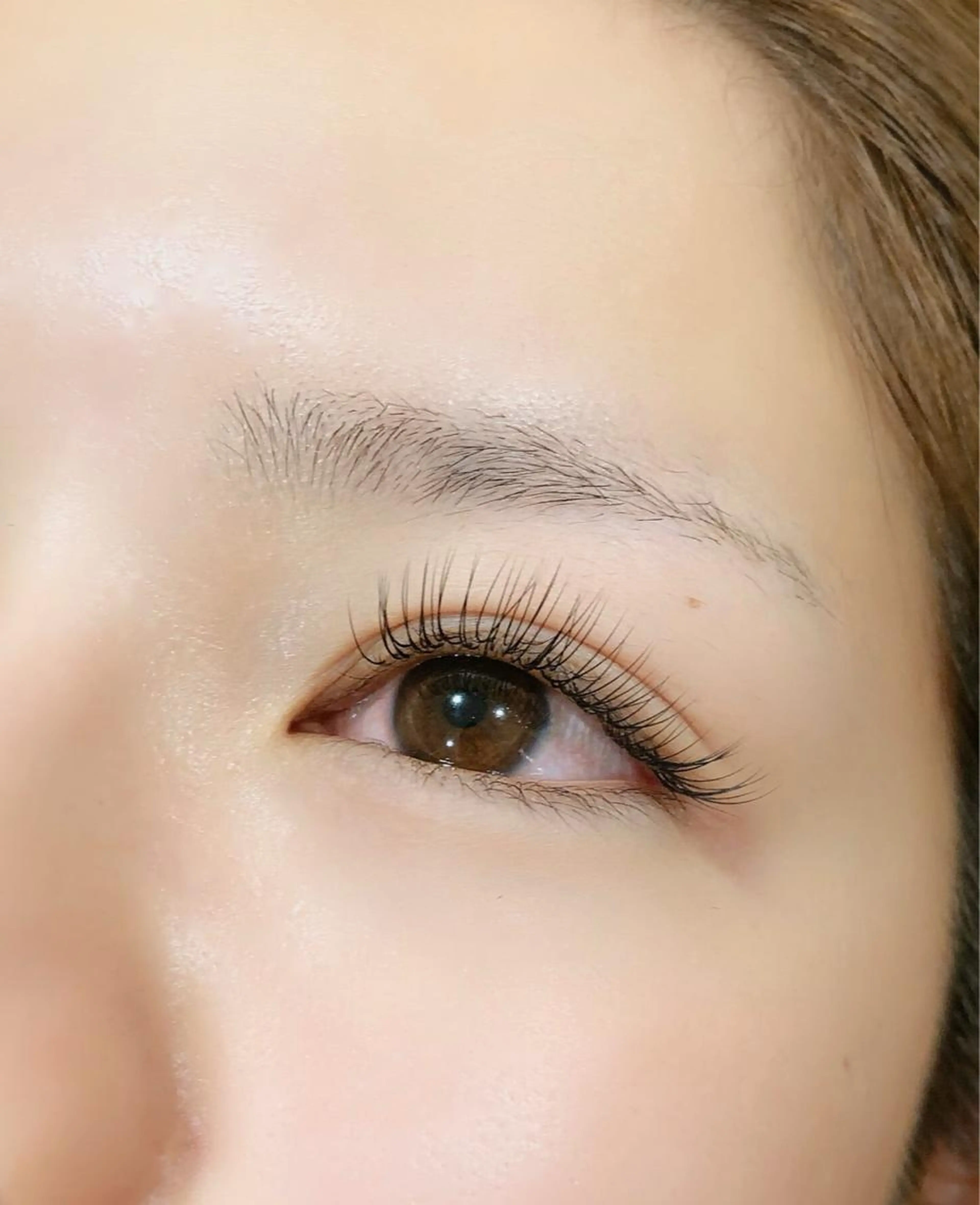 120本セーブル毛 (シングルエクステ)🌷コーティング付き✨の写真