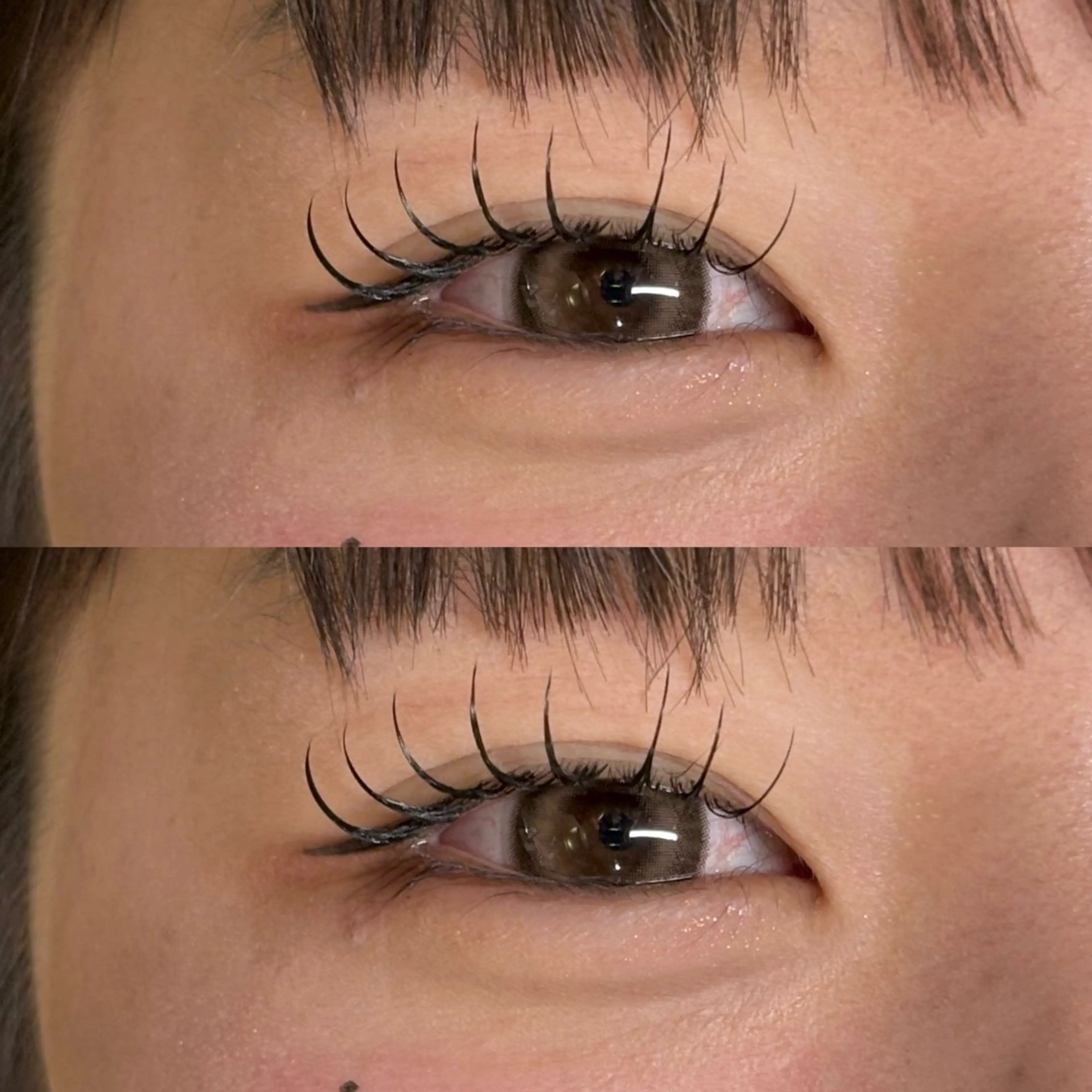 🤍なちゅらるかわいいフラットラッシュ100本🤍の写真