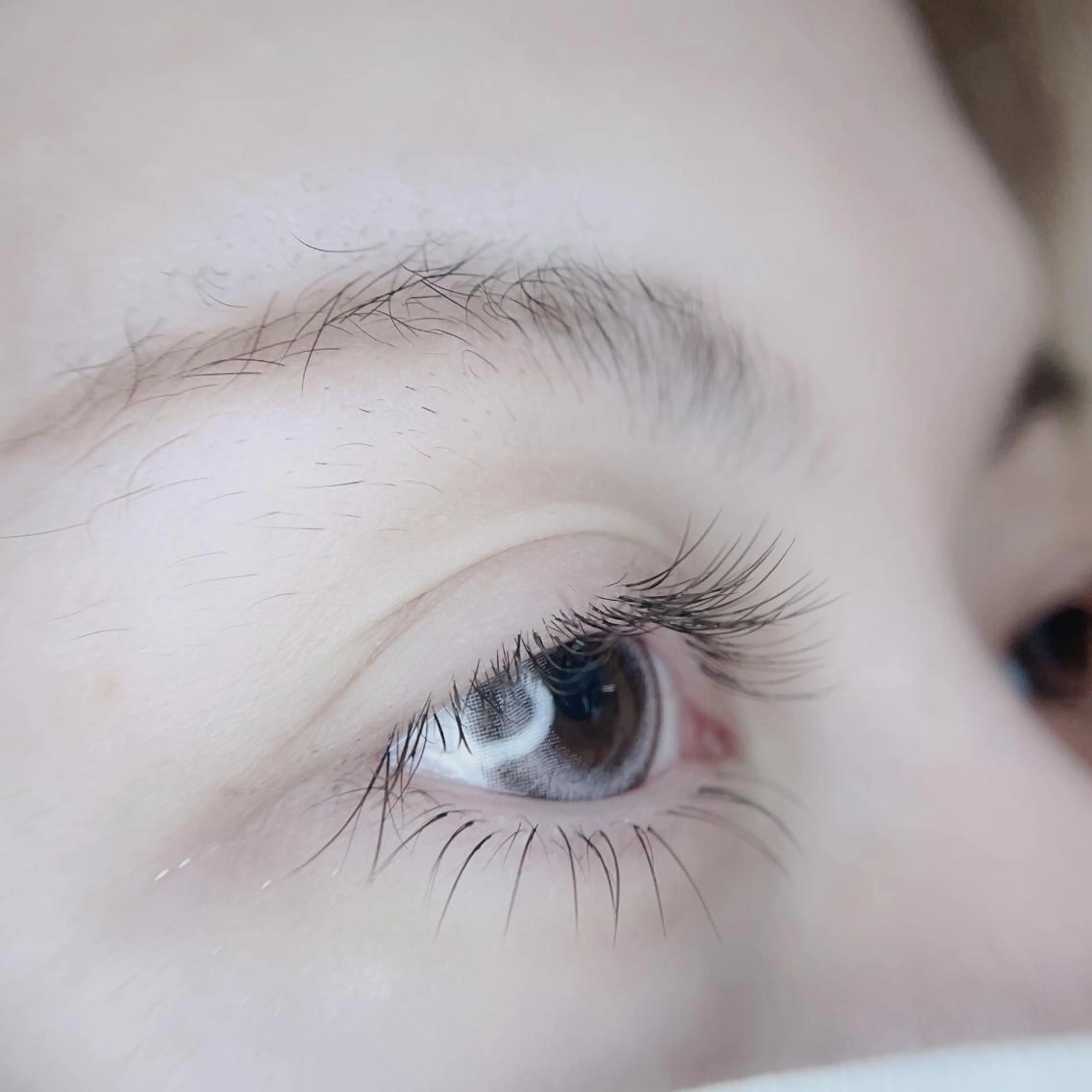 マツエク・マツパ マツエク foisalon 大久保店のマツエク・マツパデザイン