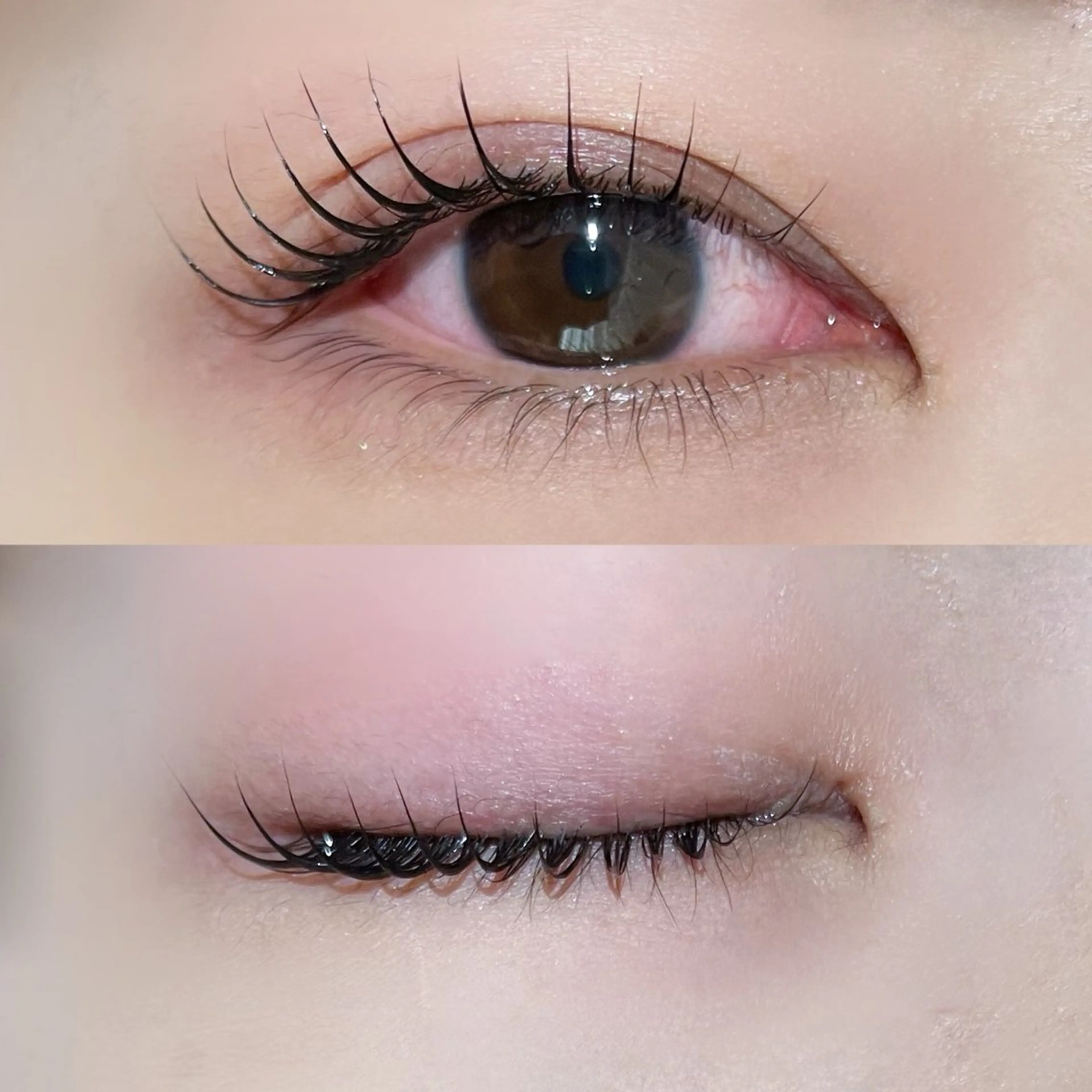 マツエク・マツパ YUKA 🍯のマツエク・マツパデザイン