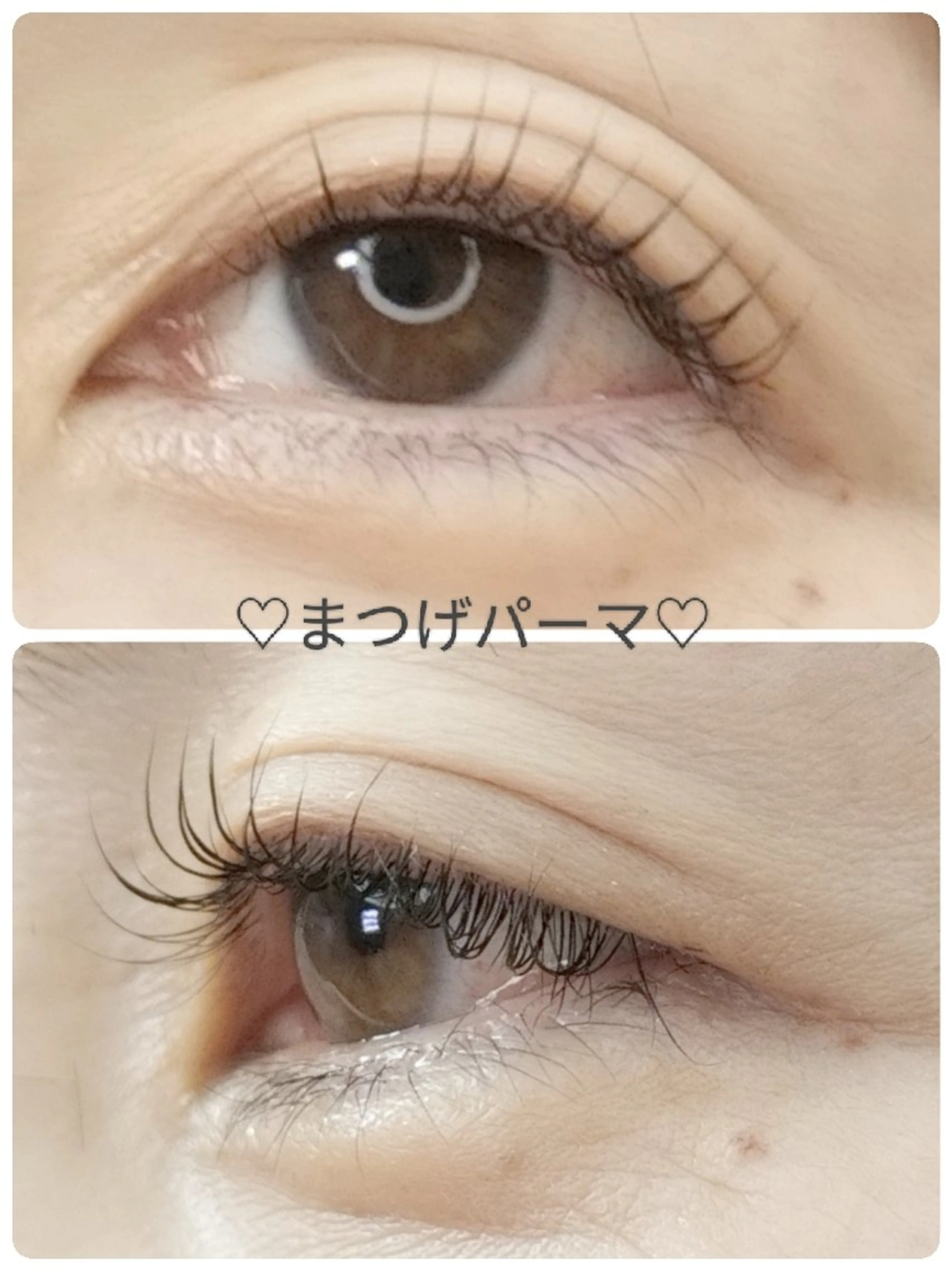 マツエク・マツパ arms lash 白井のマツエク・マツパデザイン