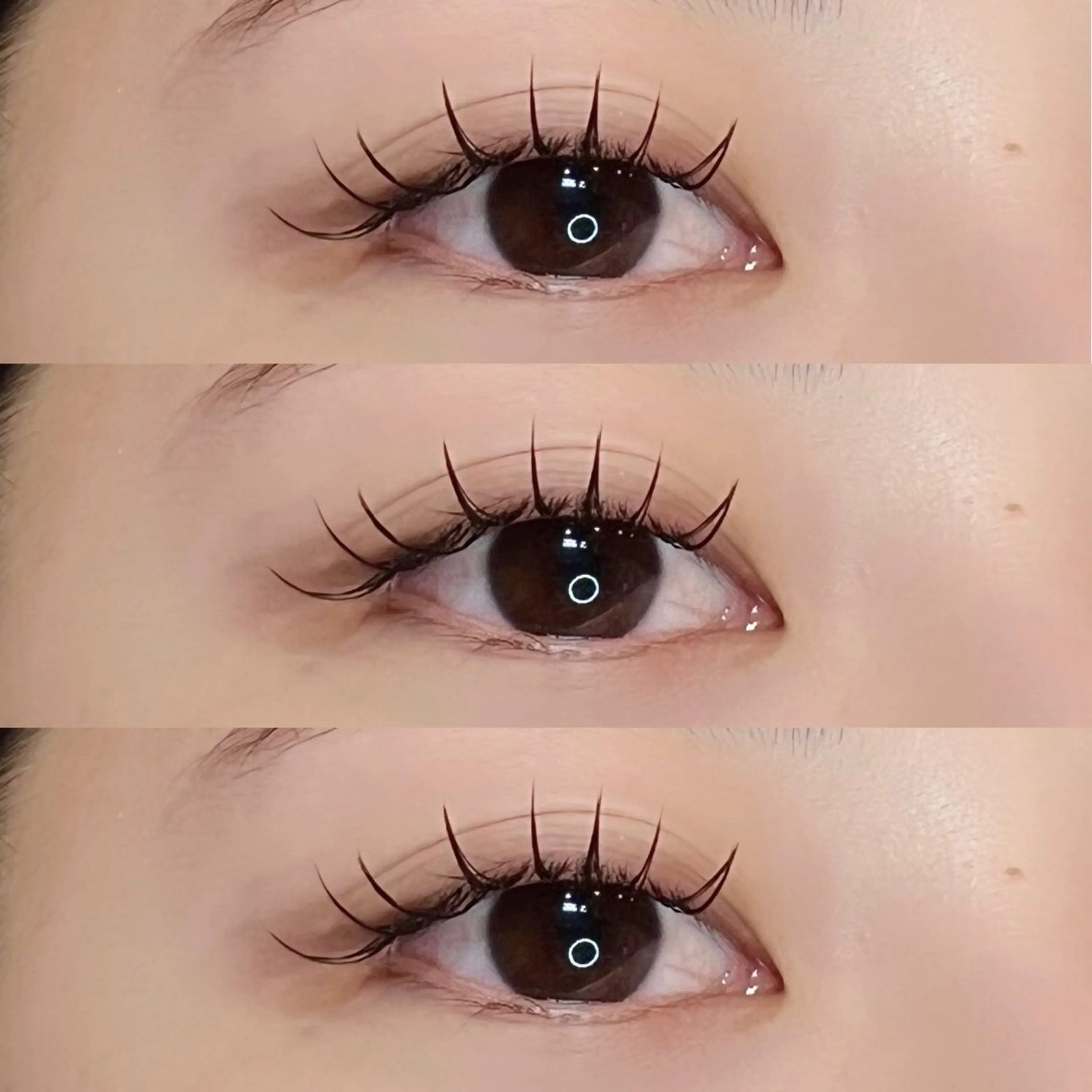 🍒フラットラッシュ100本🍒の写真