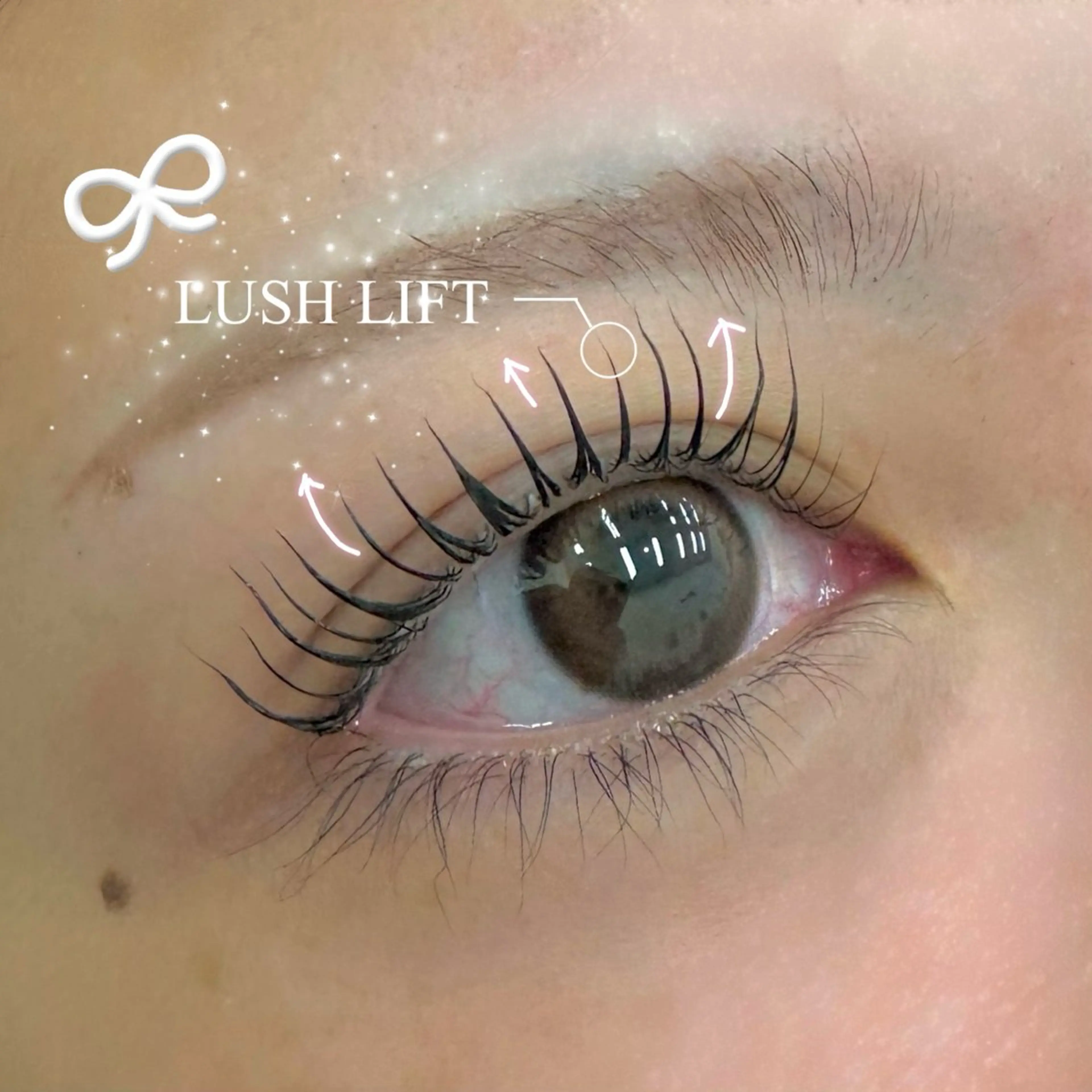 根本からしっかりまつ毛カール🪿の写真