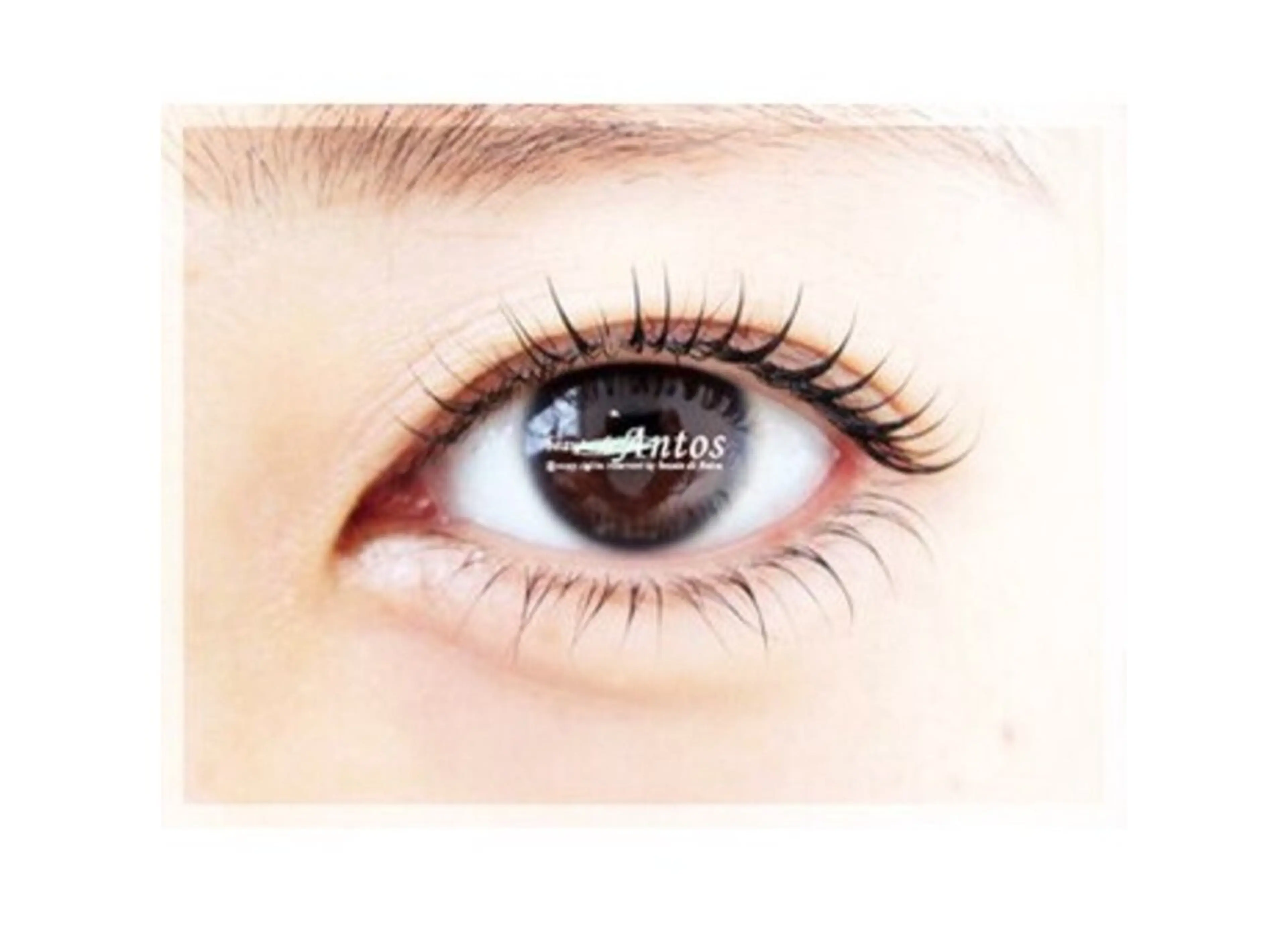 【新規★上下まつげパーマ】逆まつげ・厚まぶた・一重💫くっきり立ち上げor可愛いラウンド♪コラーゲンコーティング付の写真