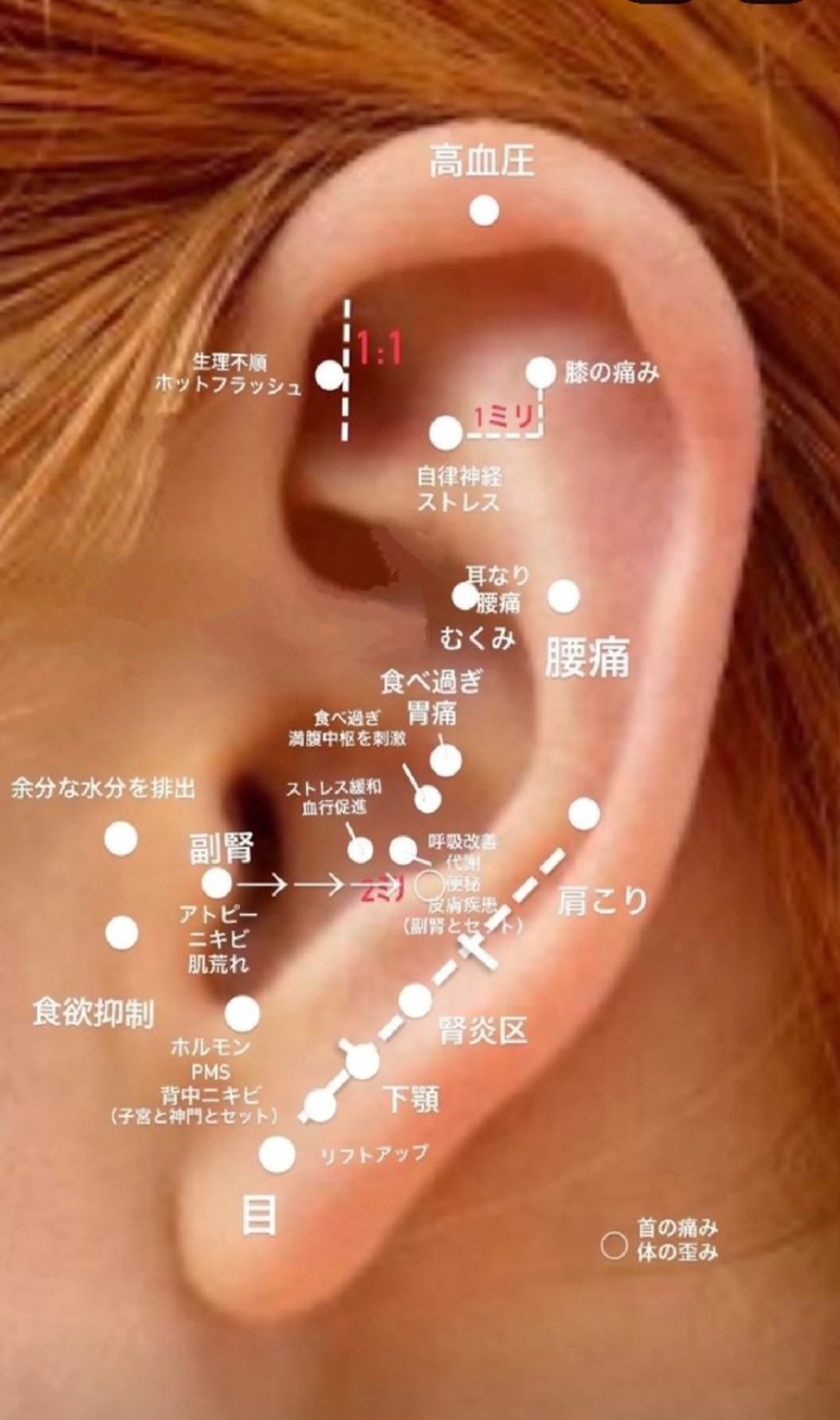  SOLEIL 小玉の眉毛・アイブロウイメージ