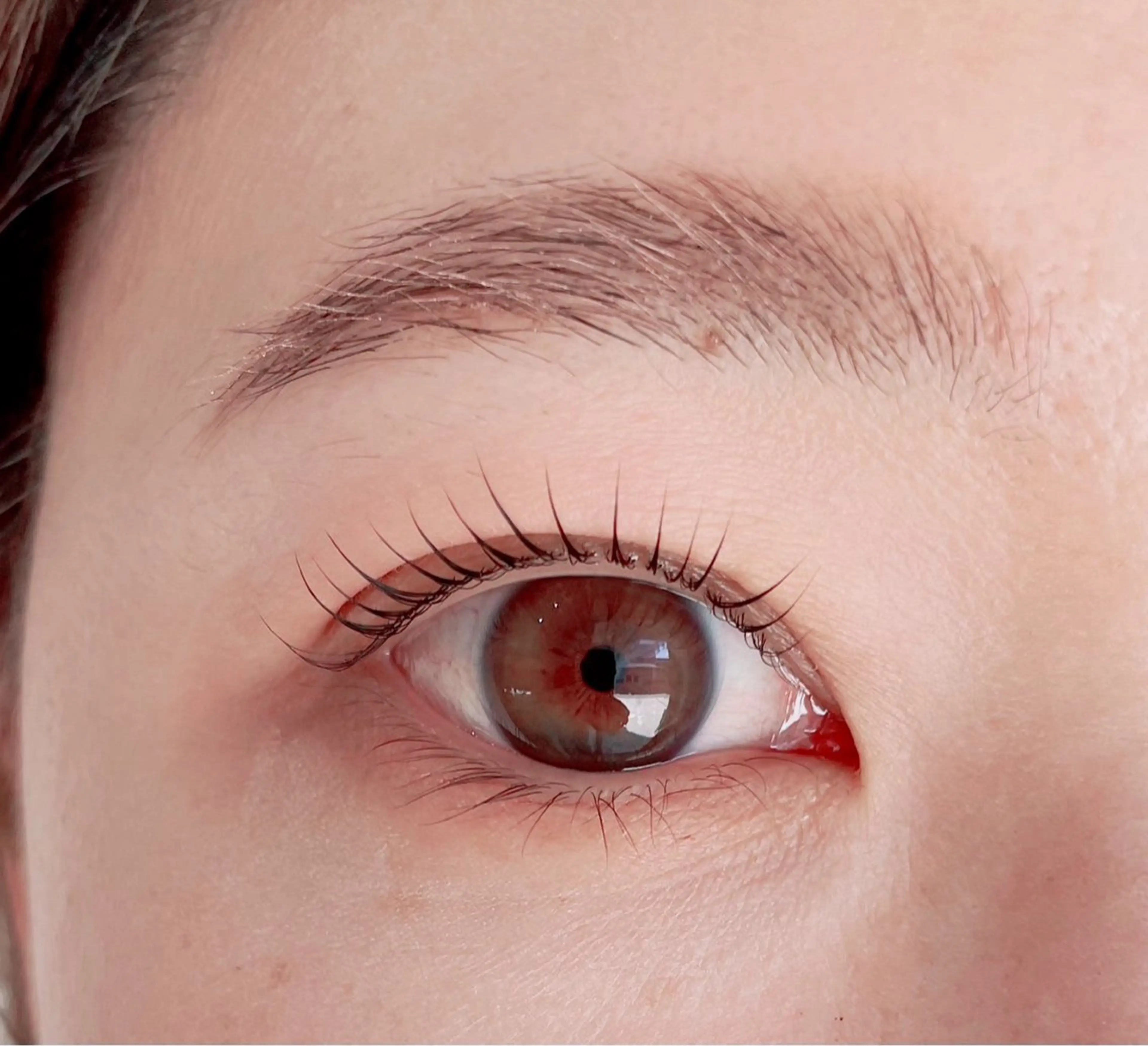 ラッシュリフト（高濃度トリートメント付き）の写真