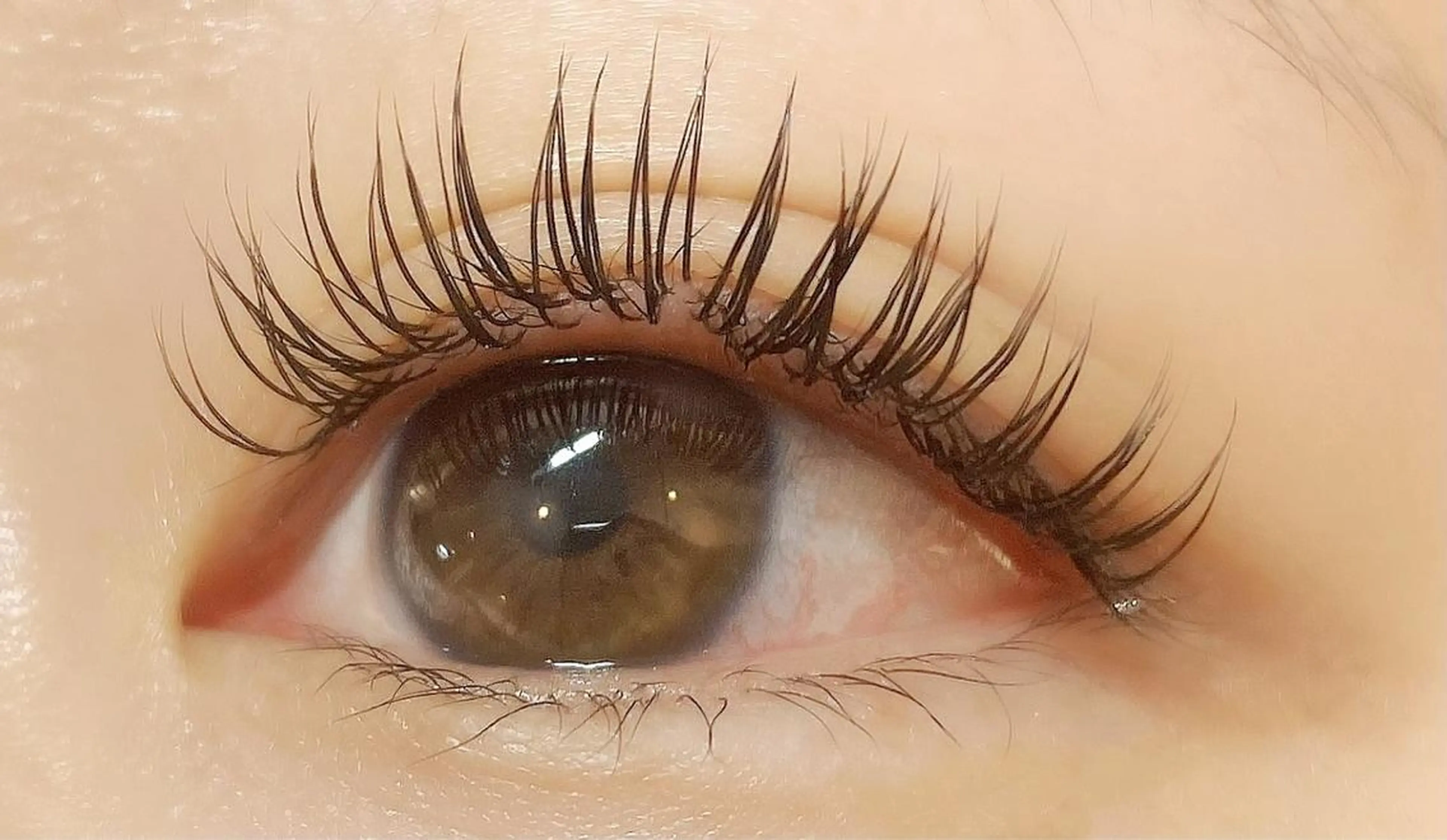 マツエク・マツパ キュート Dカール フラットラッシュ ミンク セーブル killa eye beauty所属・野中 一葉のマツエク・マツパデザイン