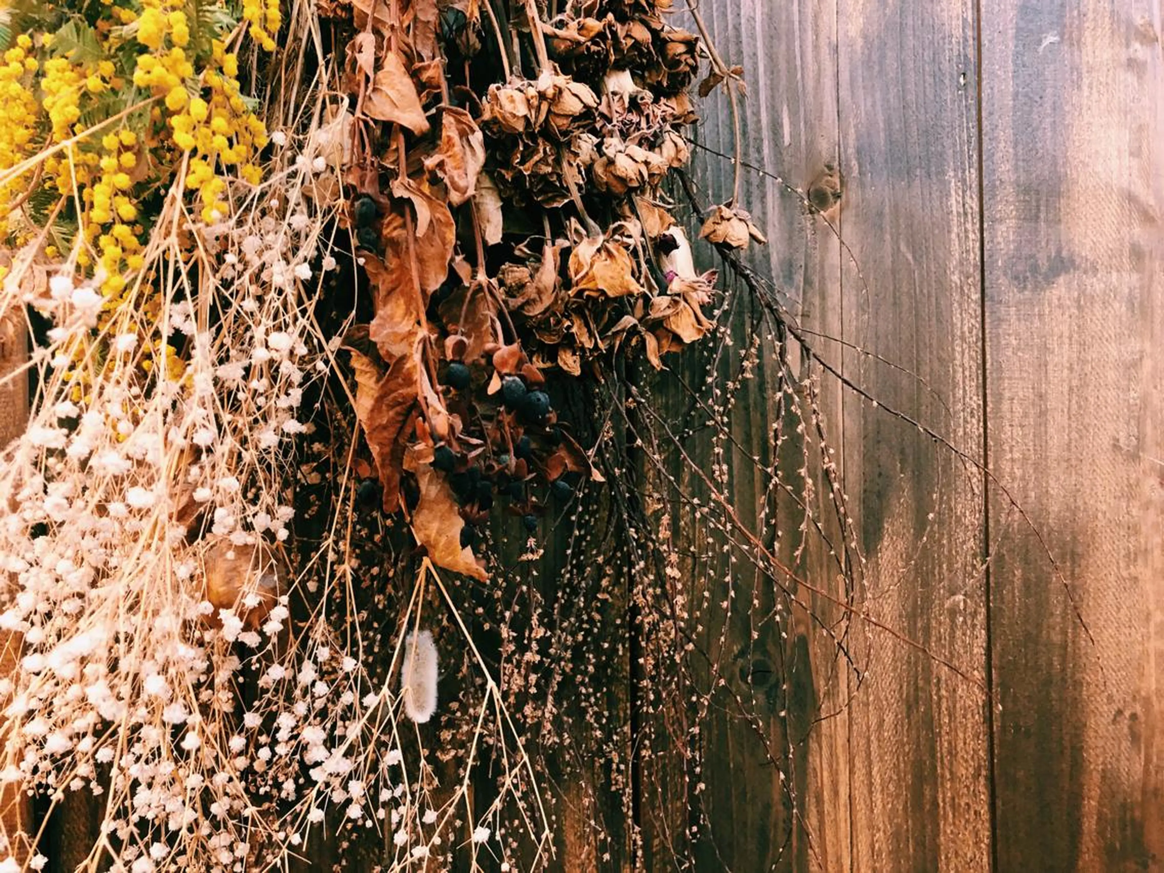 マツエク・マツパ UTA hair&eyelash所属・青木 百花のマツエク・マツパデザイン