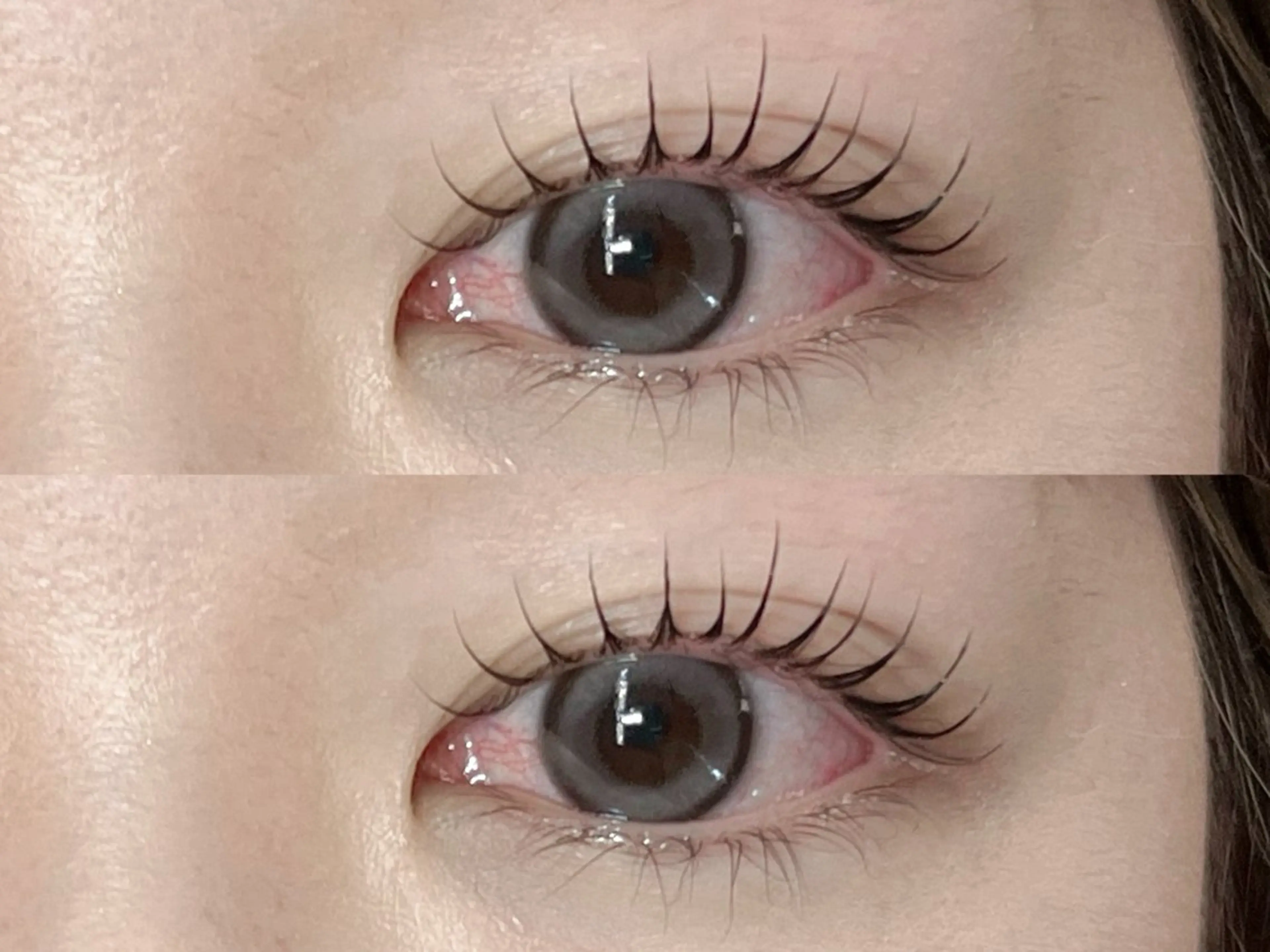 マツエク・マツパ マツパ Lupines🐱 SHIHORIのマツエク・マツパデザイン