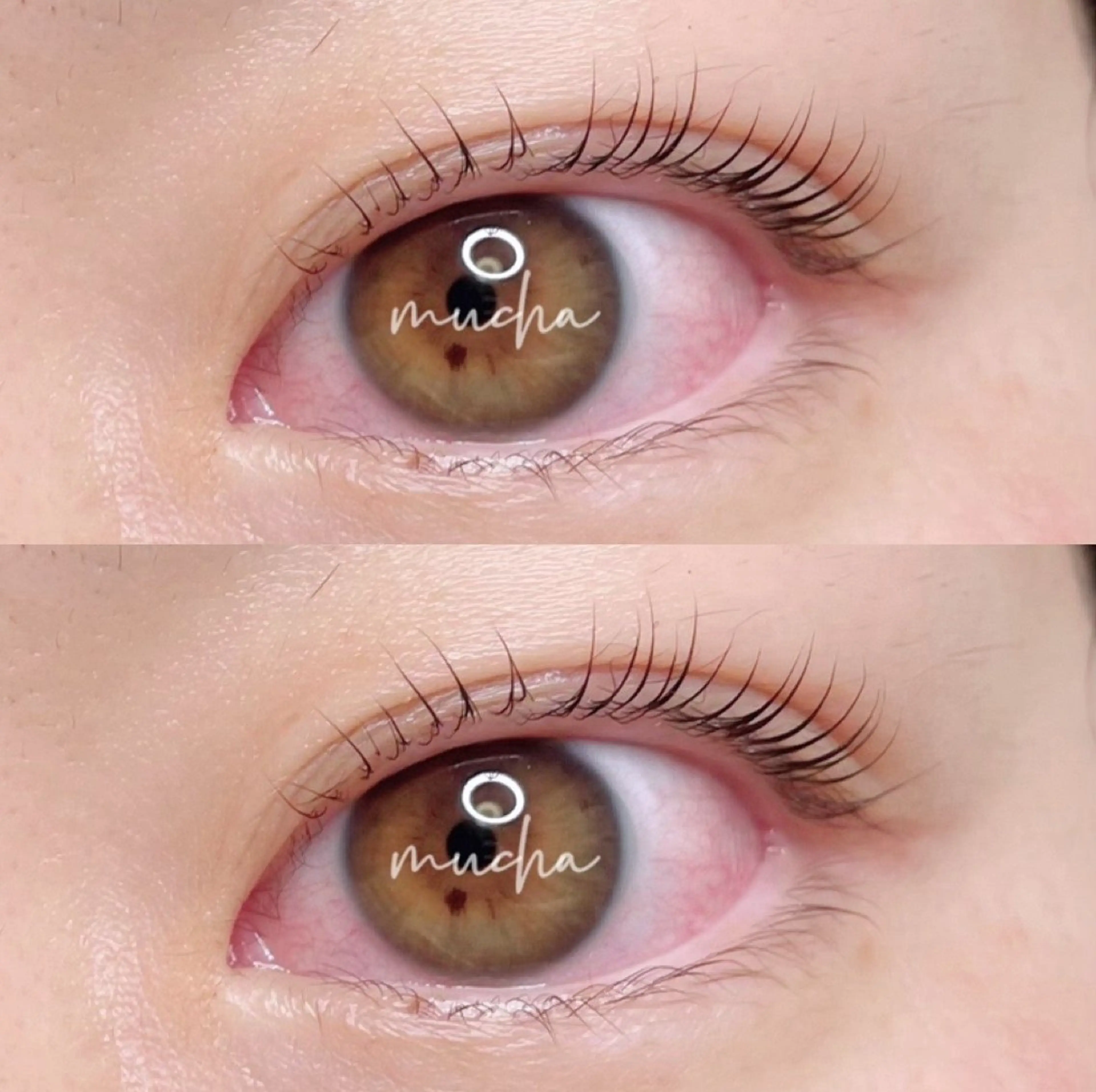 マツエク・マツパ eyelash muchaのマツエク・マツパデザイン