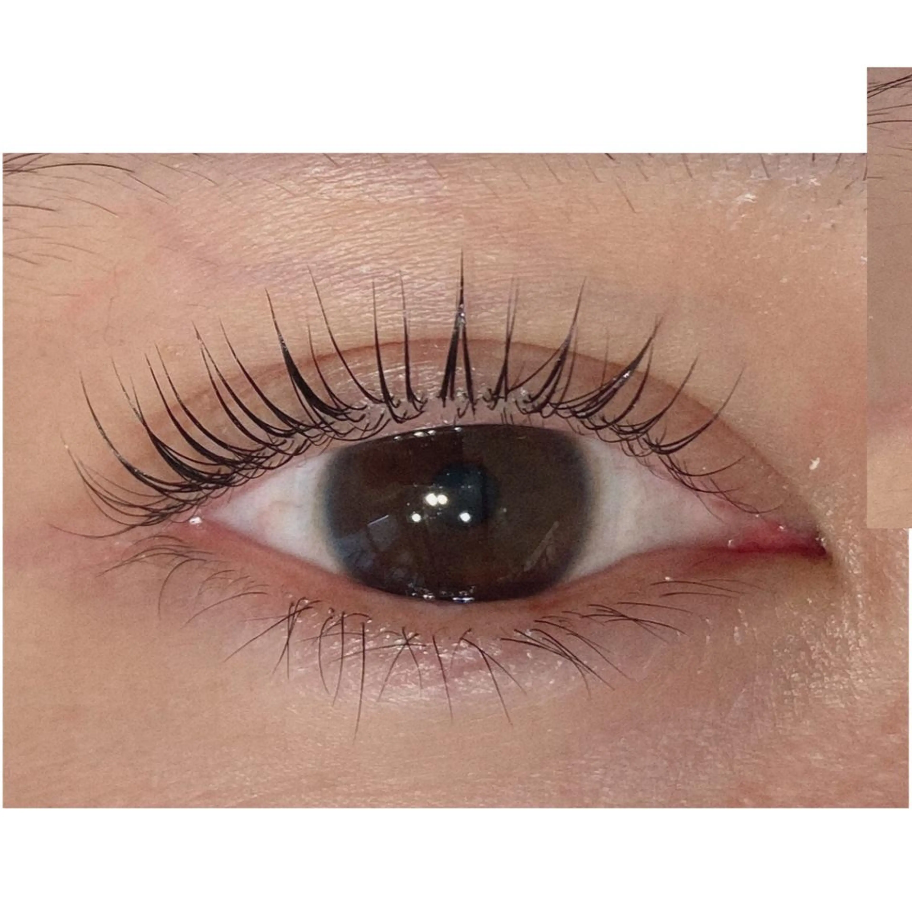 マツエク・マツパ 銀座/LEDマツエク 高宮のマツエク・マツパデザイン