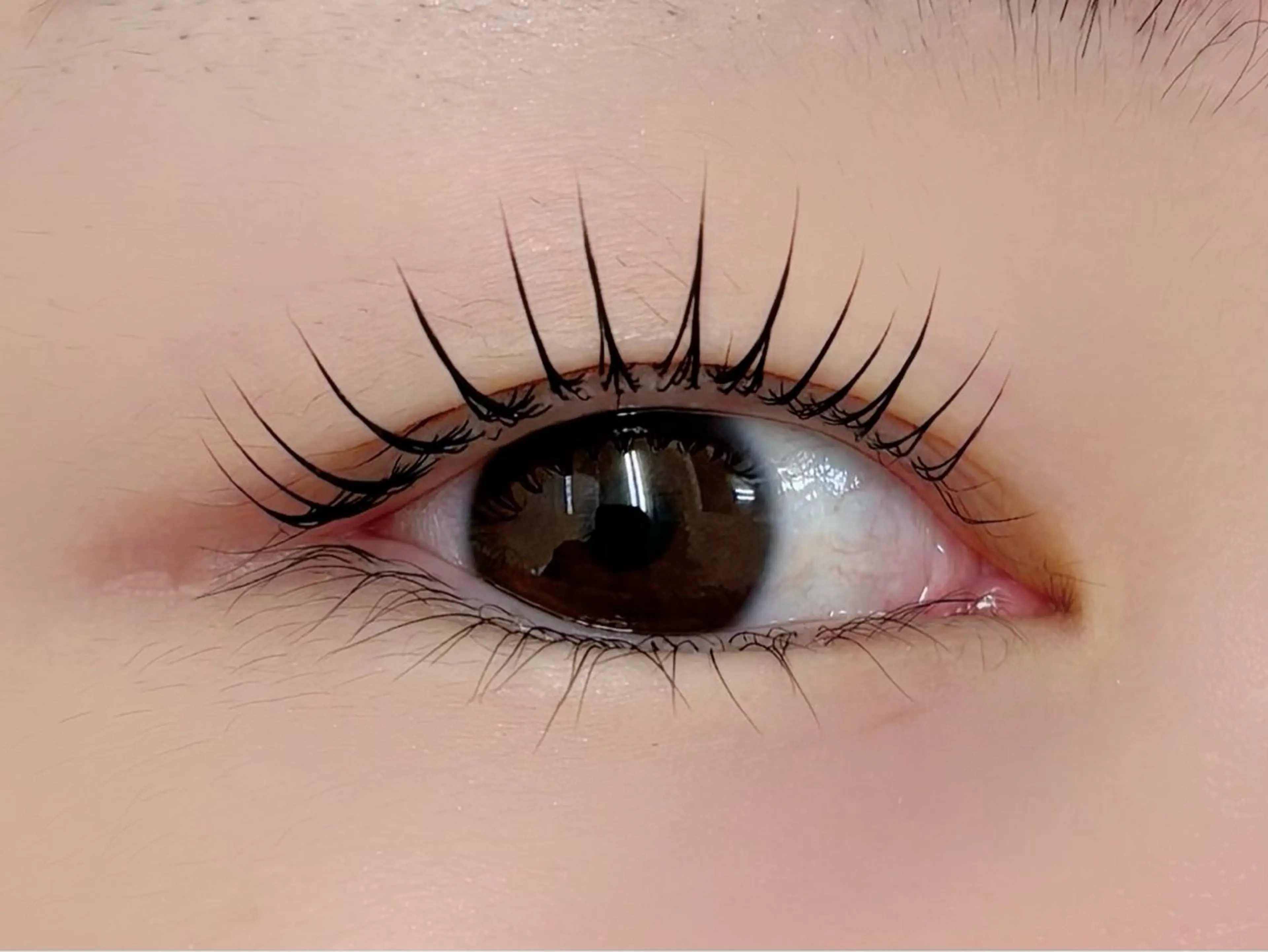 マツエク・マツパ 一重×まつ毛パーマ マツパ alice tokyo上村★のマツエク・マツパデザイン