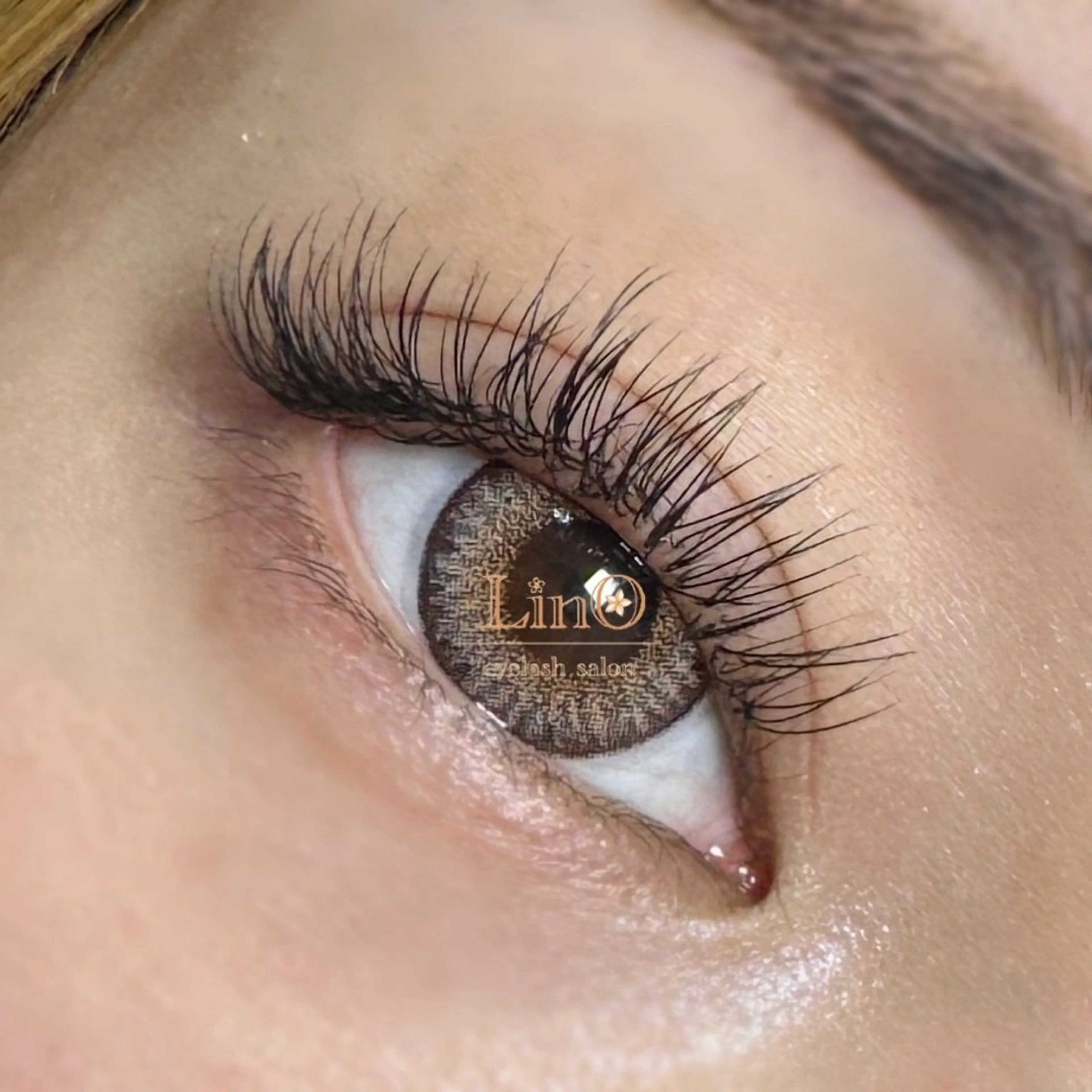 【1日2名様限定価格☆】ご新規様オフ無料♪フラットラッシュ120本 ※現金支払いのみの写真