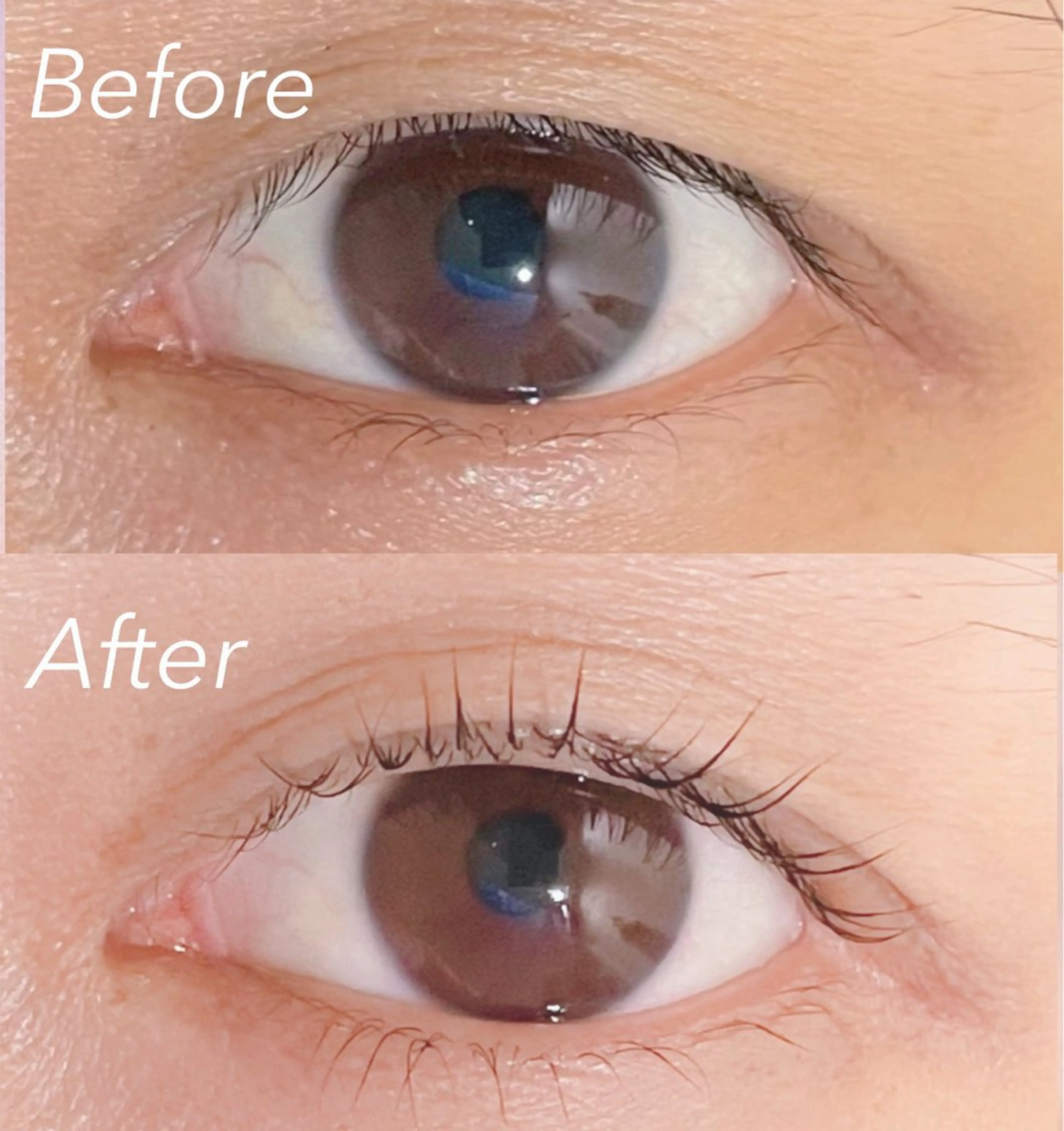 🫧上下まつ毛パーマ🫧美容液コーティング付き🫧の写真